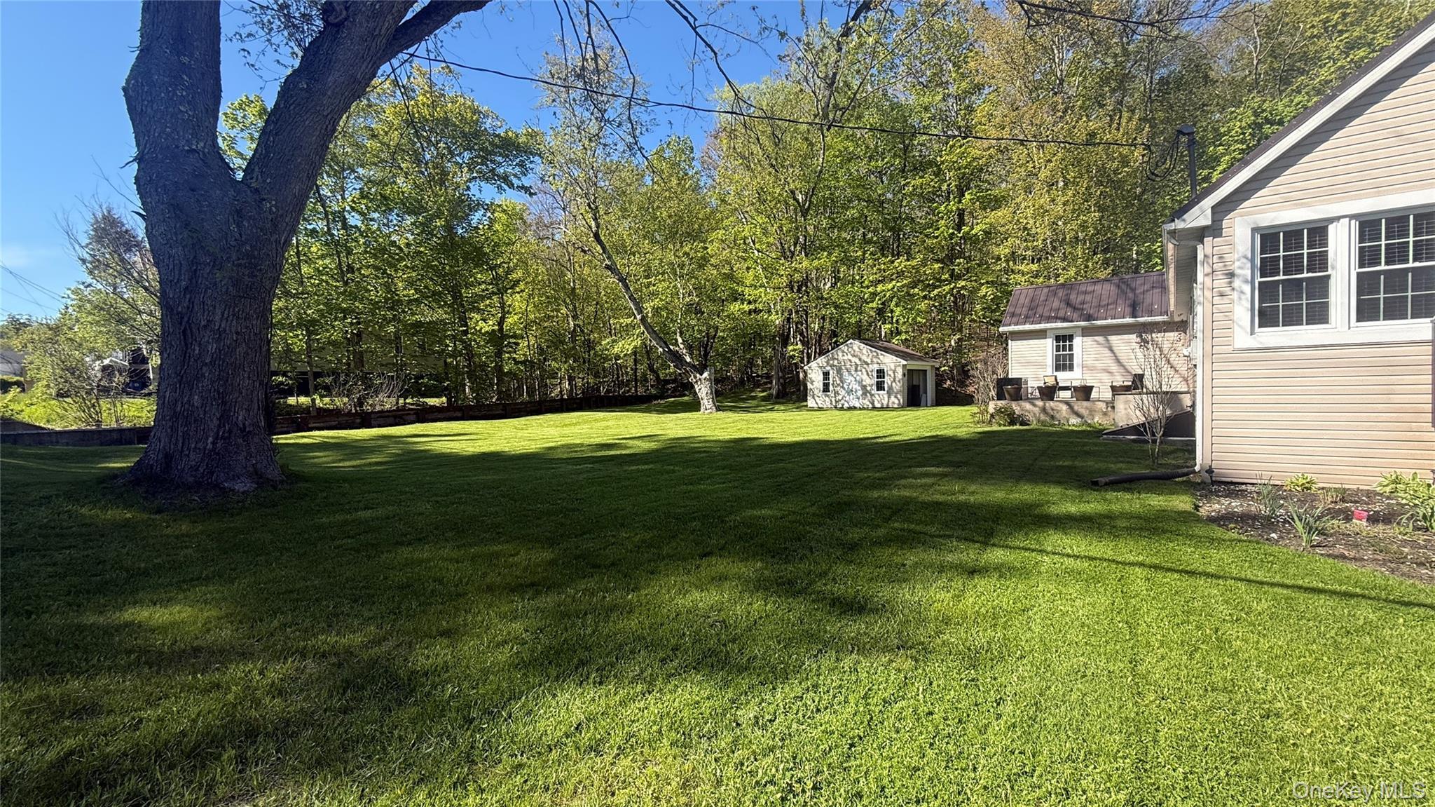 Single Family Mountaindale Main Street Sullivan County, NY 12763, MLS-997579-6