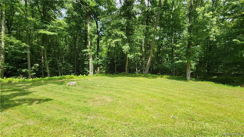 Single Family Woodland Orange County, NY 10940, MLS-997655-3