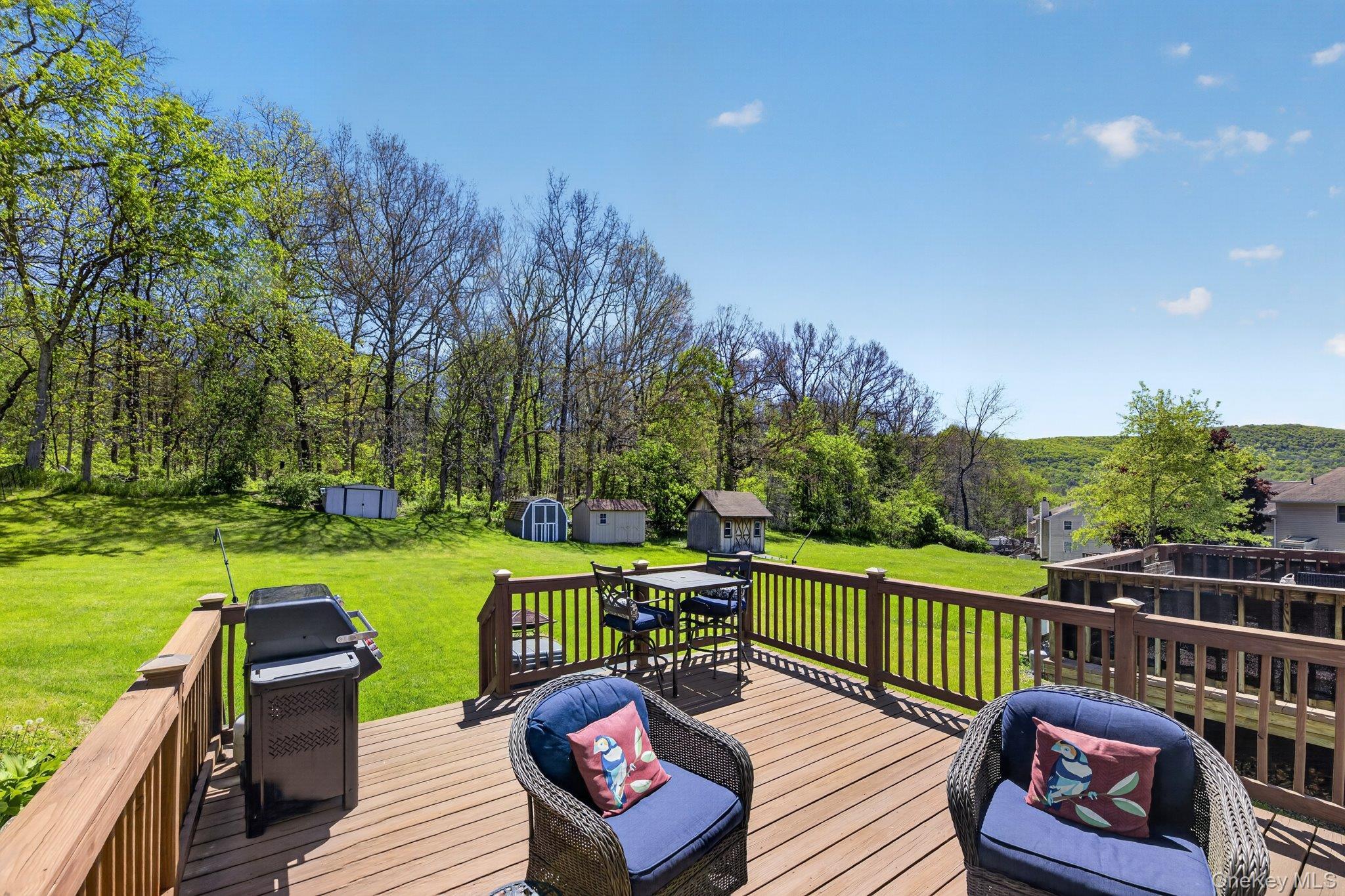 Single Family Franklin Orange County, NY 10992, MLS-997671-23