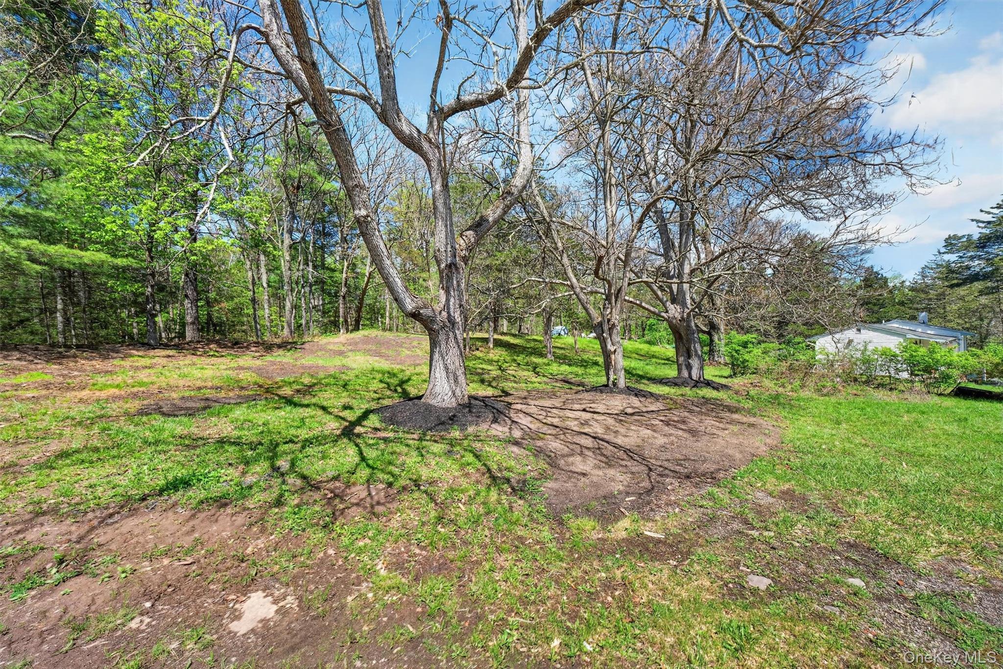 Single Family Blacks Road Ulster County, NY 12401, MLS-997718-17