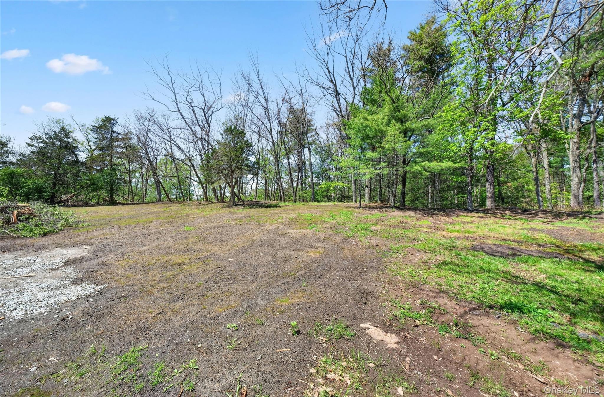 Single Family Blacks Road Ulster County, NY 12401, MLS-997718-18