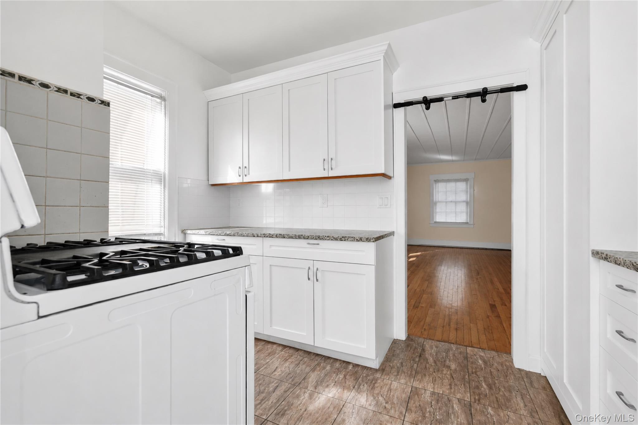 Single Family Street Queens, NY 11419, MLS-997758-8