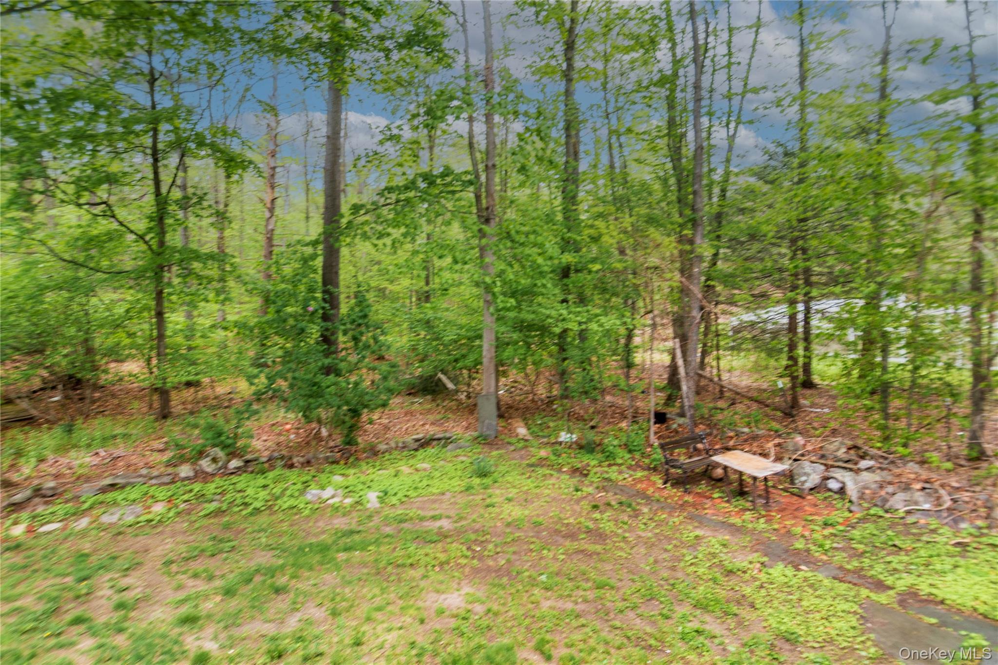 Single Family Dosen Orange County, NY 10940, MLS-997791-5