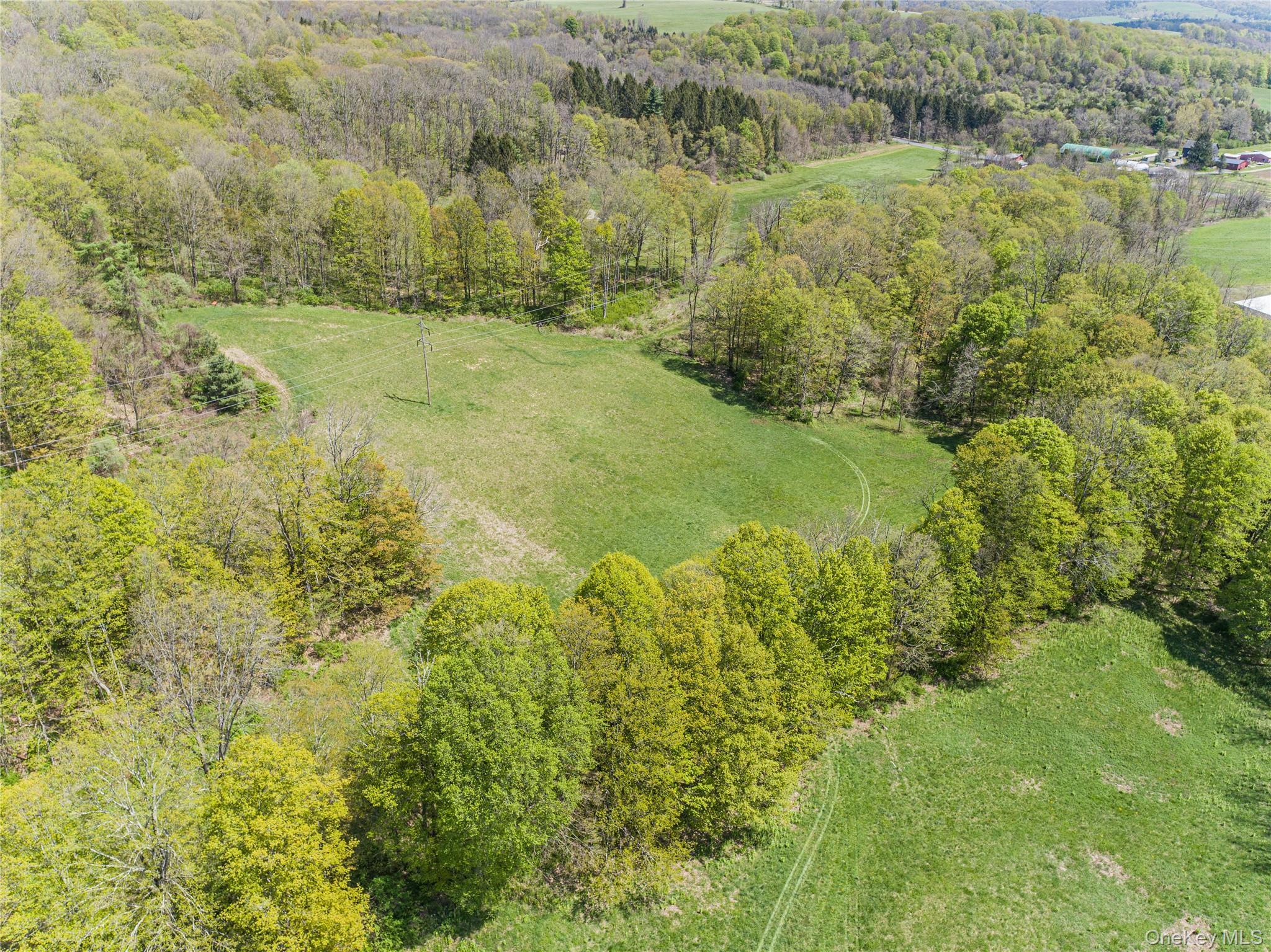 Single Family Rt-199  Dutchess County, NY 12546, MLS-997845-12