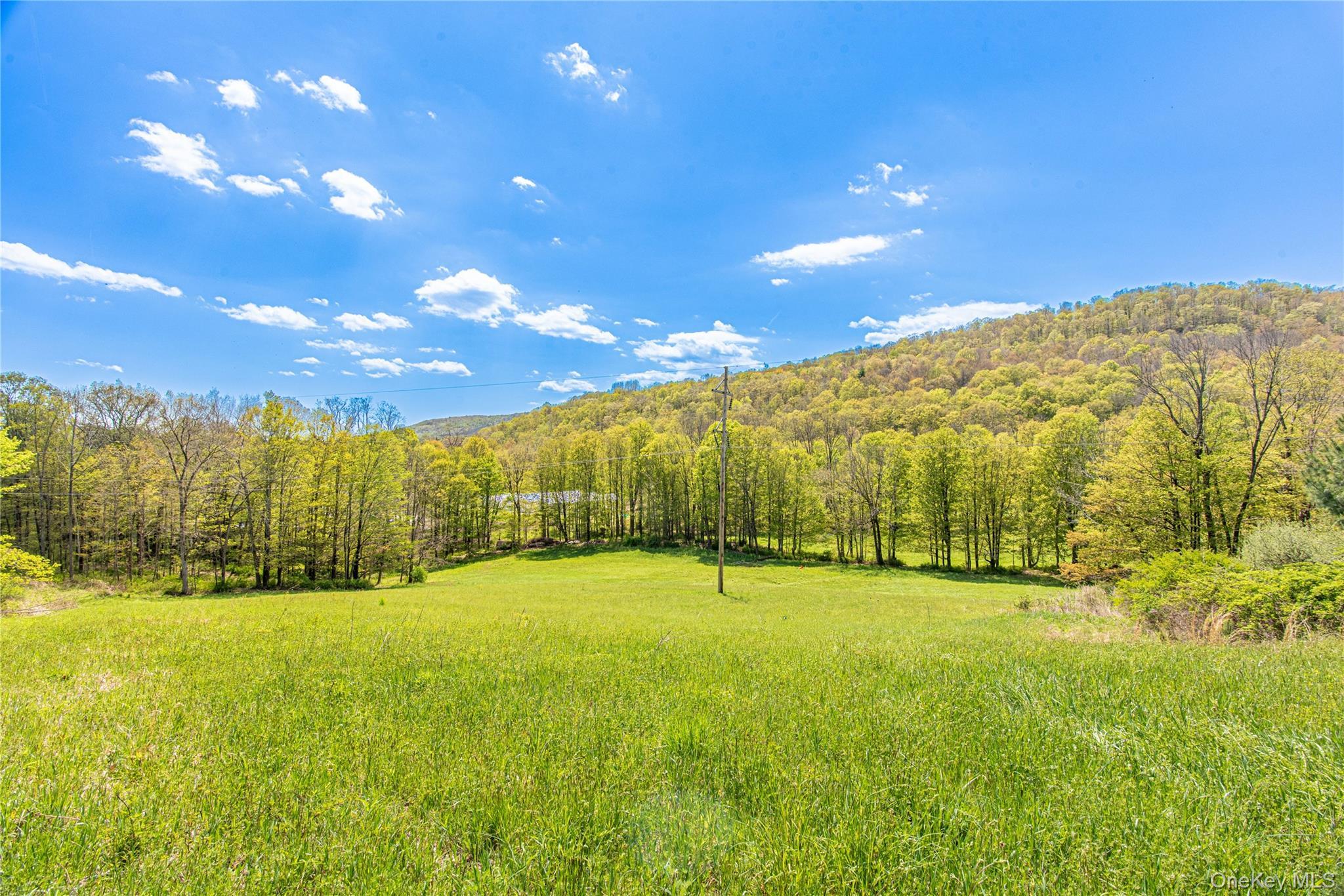 Single Family Rt-199  Dutchess County, NY 12546, MLS-997845-44