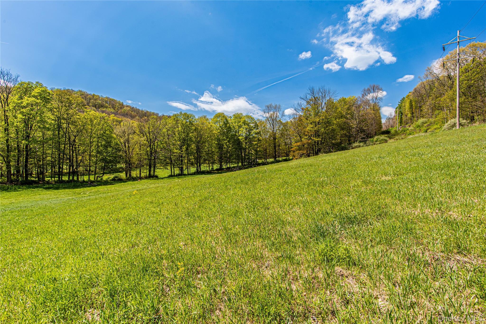 Single Family Rt-199  Dutchess County, NY 12546, MLS-997845-45