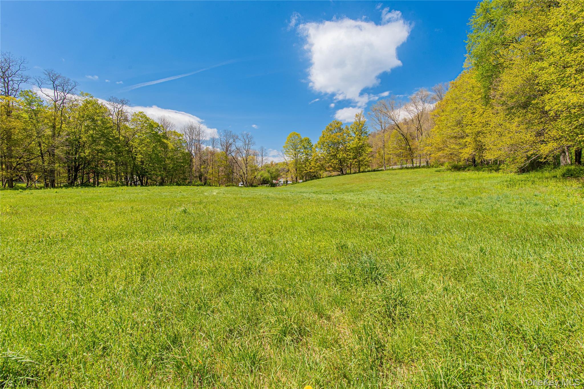 Single Family Rt-199  Dutchess County, NY 12546, MLS-997845-46