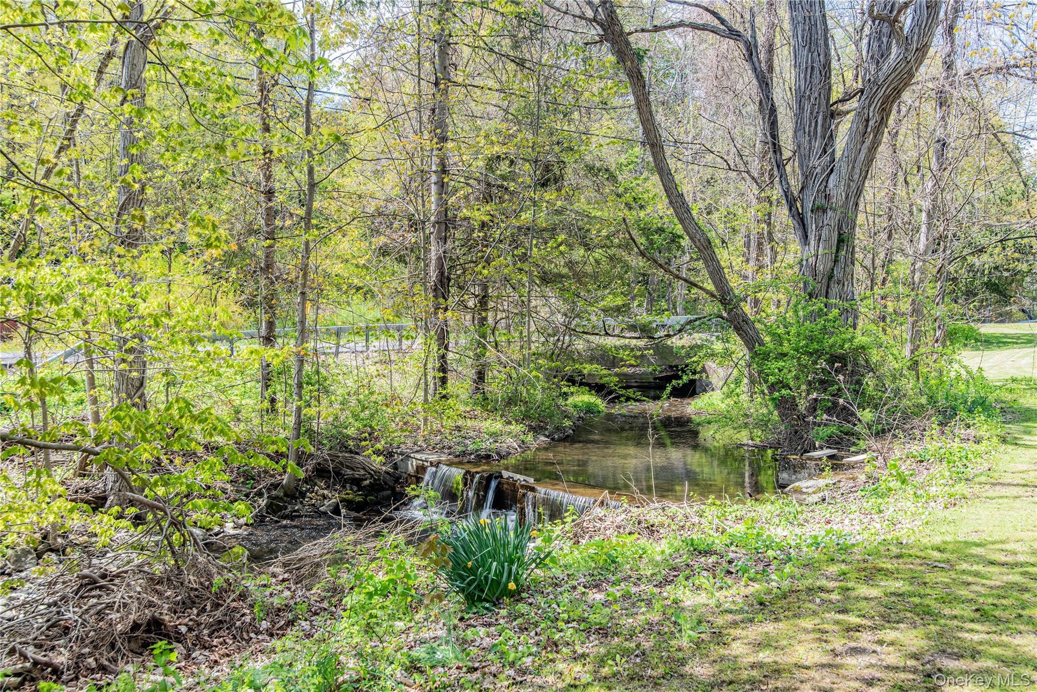 Single Family Rt-199  Dutchess County, NY 12546, MLS-997845-48