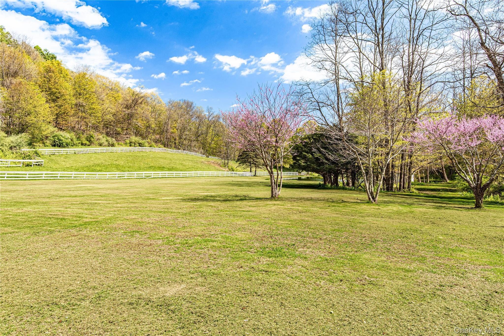 Single Family Rt-199  Dutchess County, NY 12546, MLS-997845-49