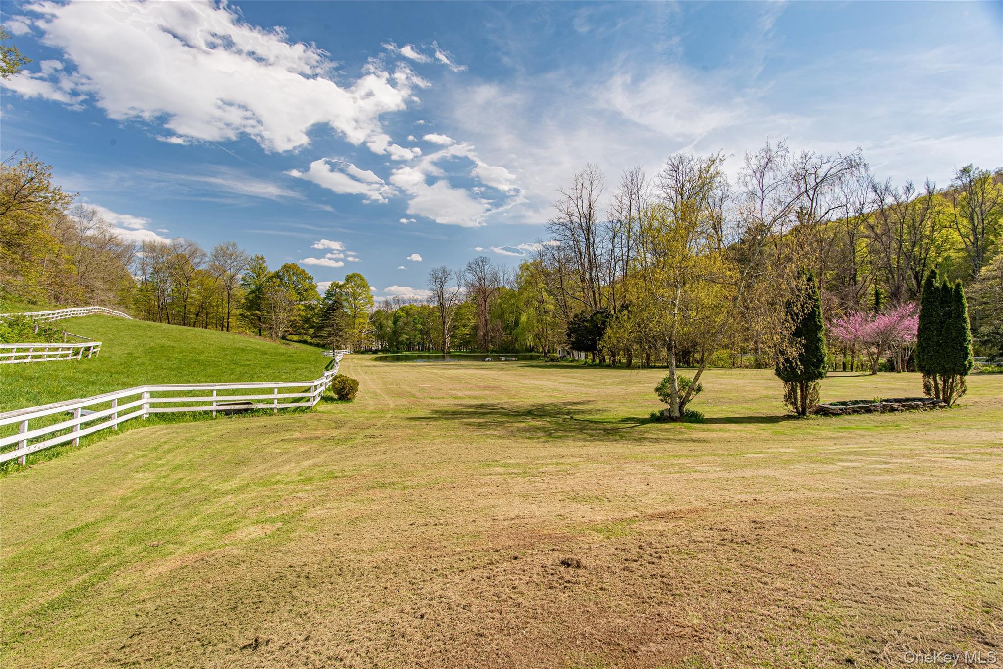 Single Family Rt-199  Dutchess County, NY 12546, MLS-997845-50