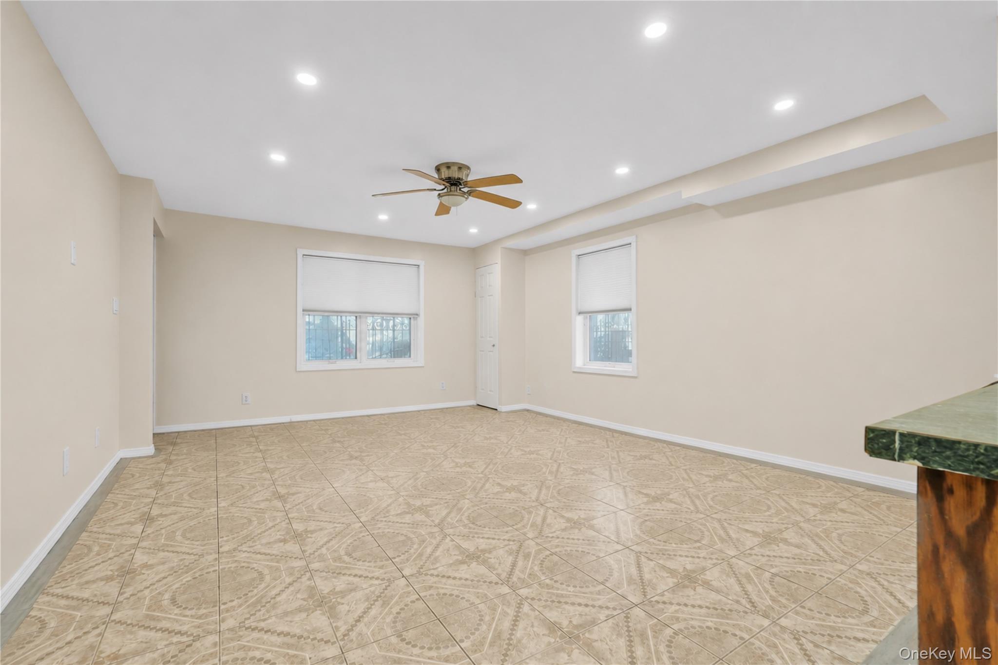 Single Family Elton Brooklyn, NY 11208, MLS-997913-6