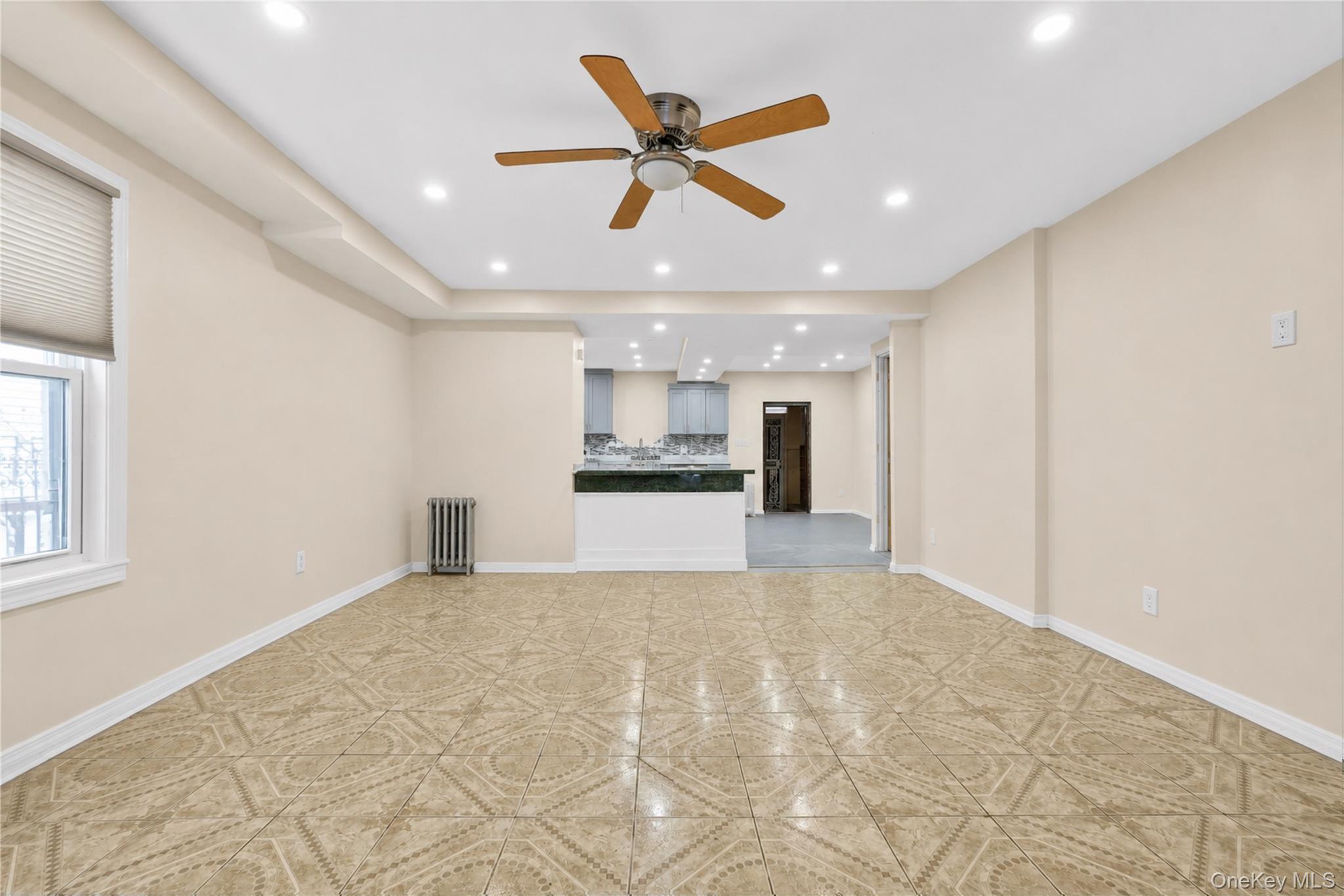 Single Family Elton Brooklyn, NY 11208, MLS-997913-7