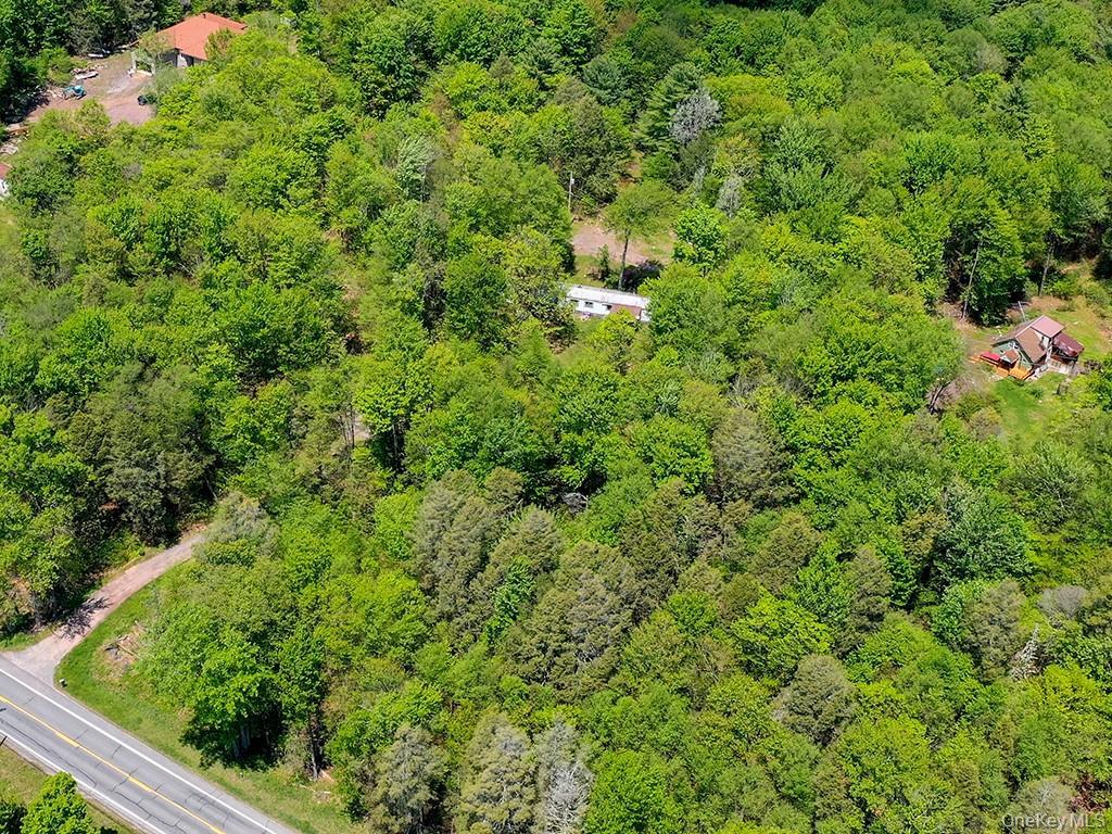 Single Family State Route 42  Sullivan County, NY 12740, MLS-998005-2