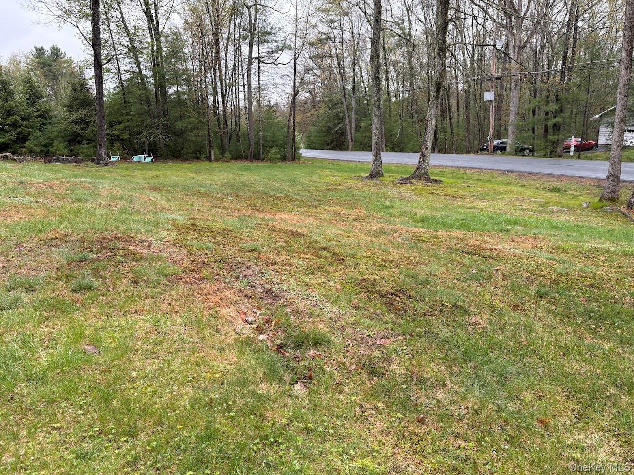 Single Family Hartung Sullivan County, NY 12743, MLS-998011-27