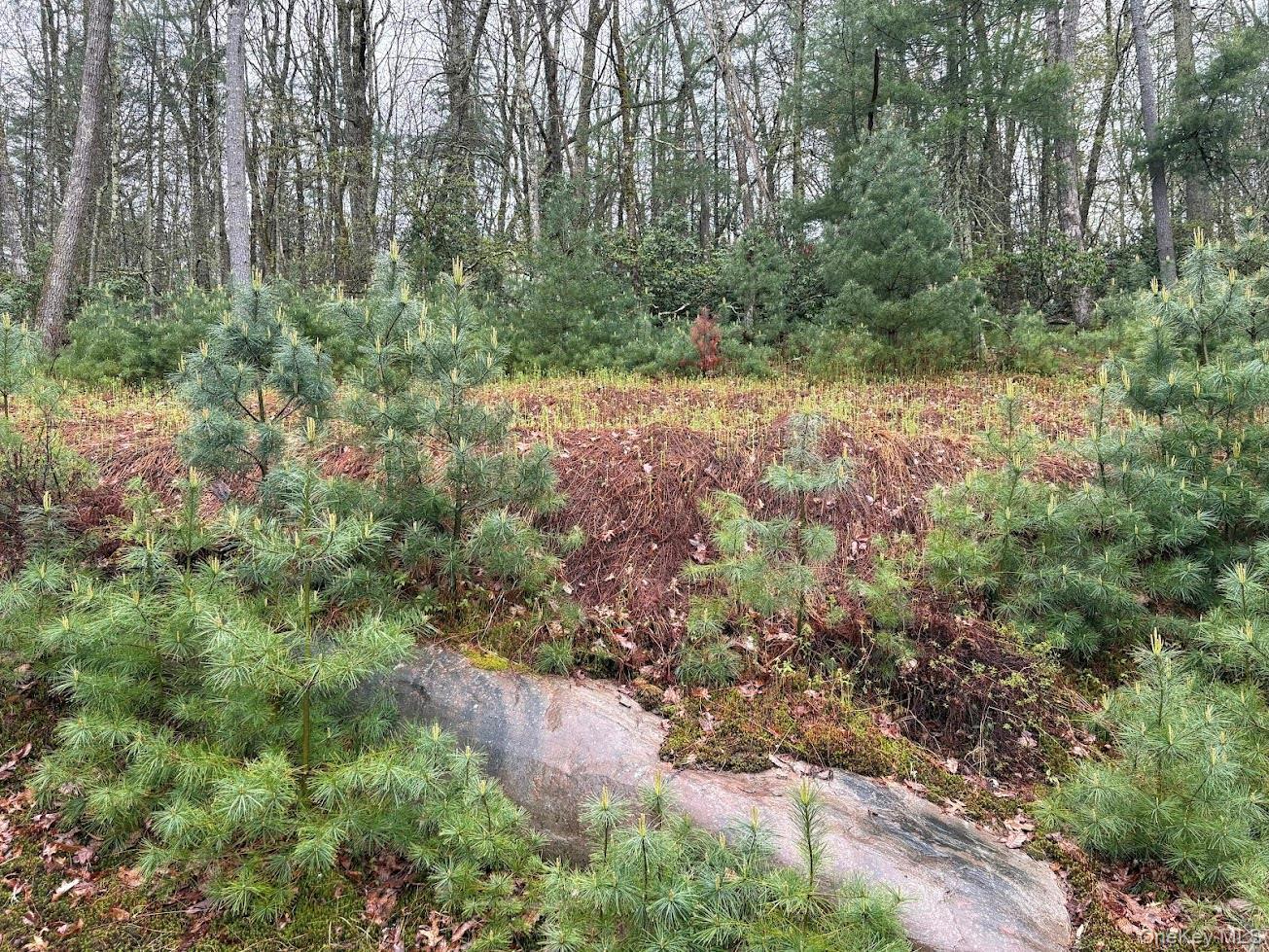 Single Family Hartung Sullivan County, NY 12743, MLS-998011-28