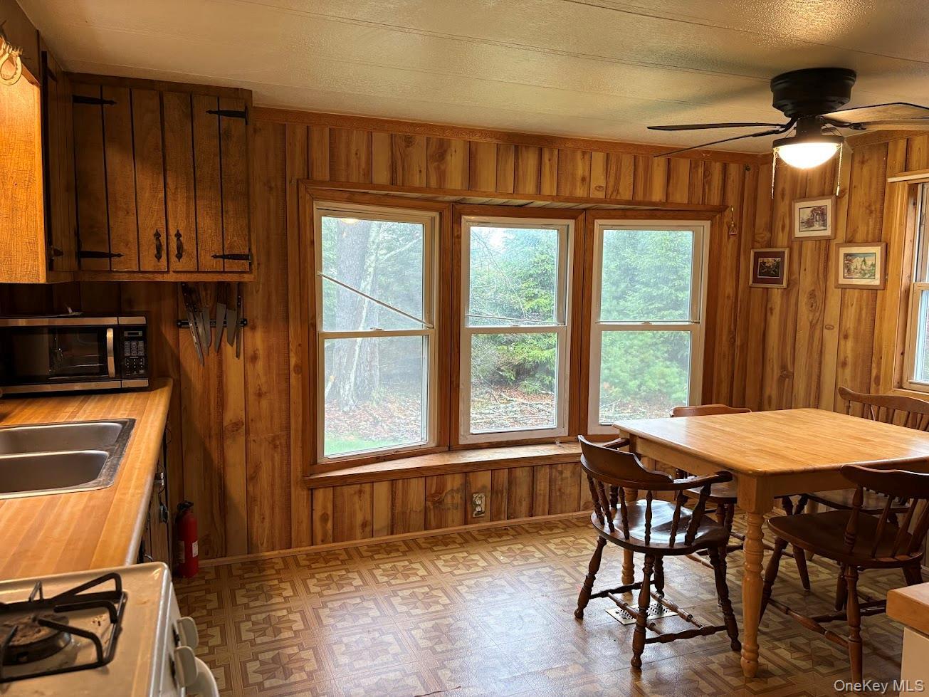 Single Family Hartung Sullivan County, NY 12743, MLS-998011-9