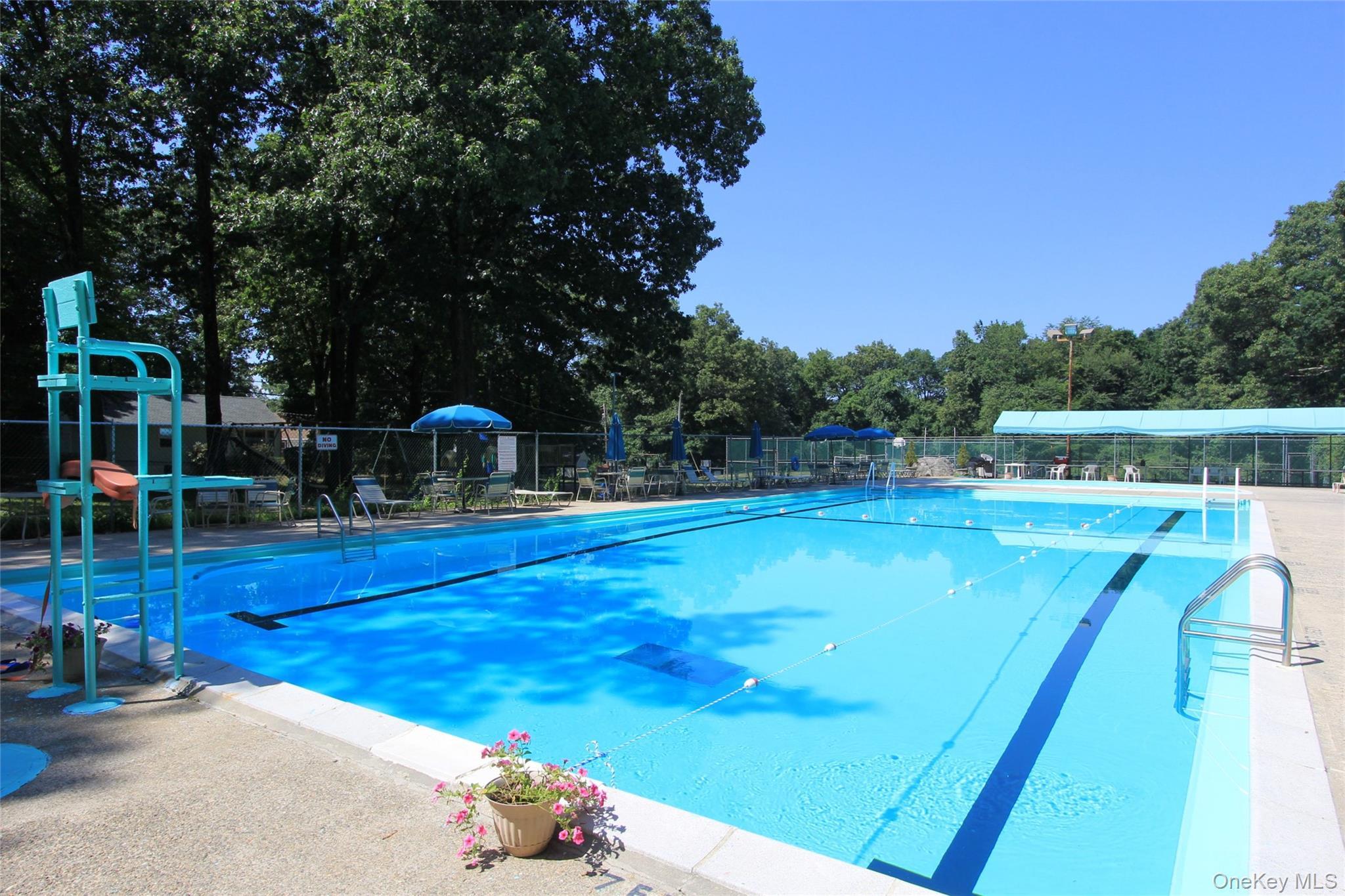 Single Family Brandeis Avenue Westchester County, NY 10547, MLS-998097-40