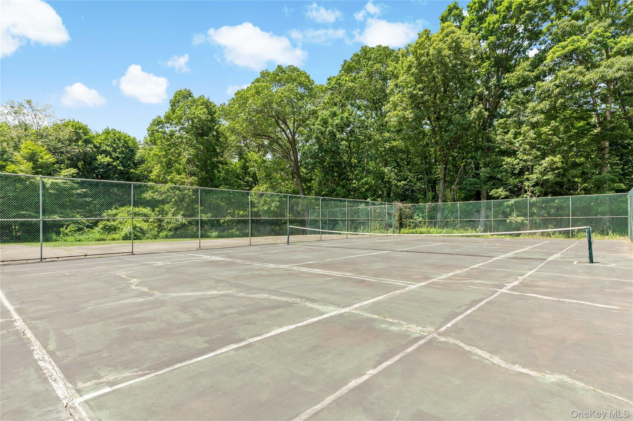 Single Family Brandeis Avenue  Westchester County, NY 10547, MLS-998097-46