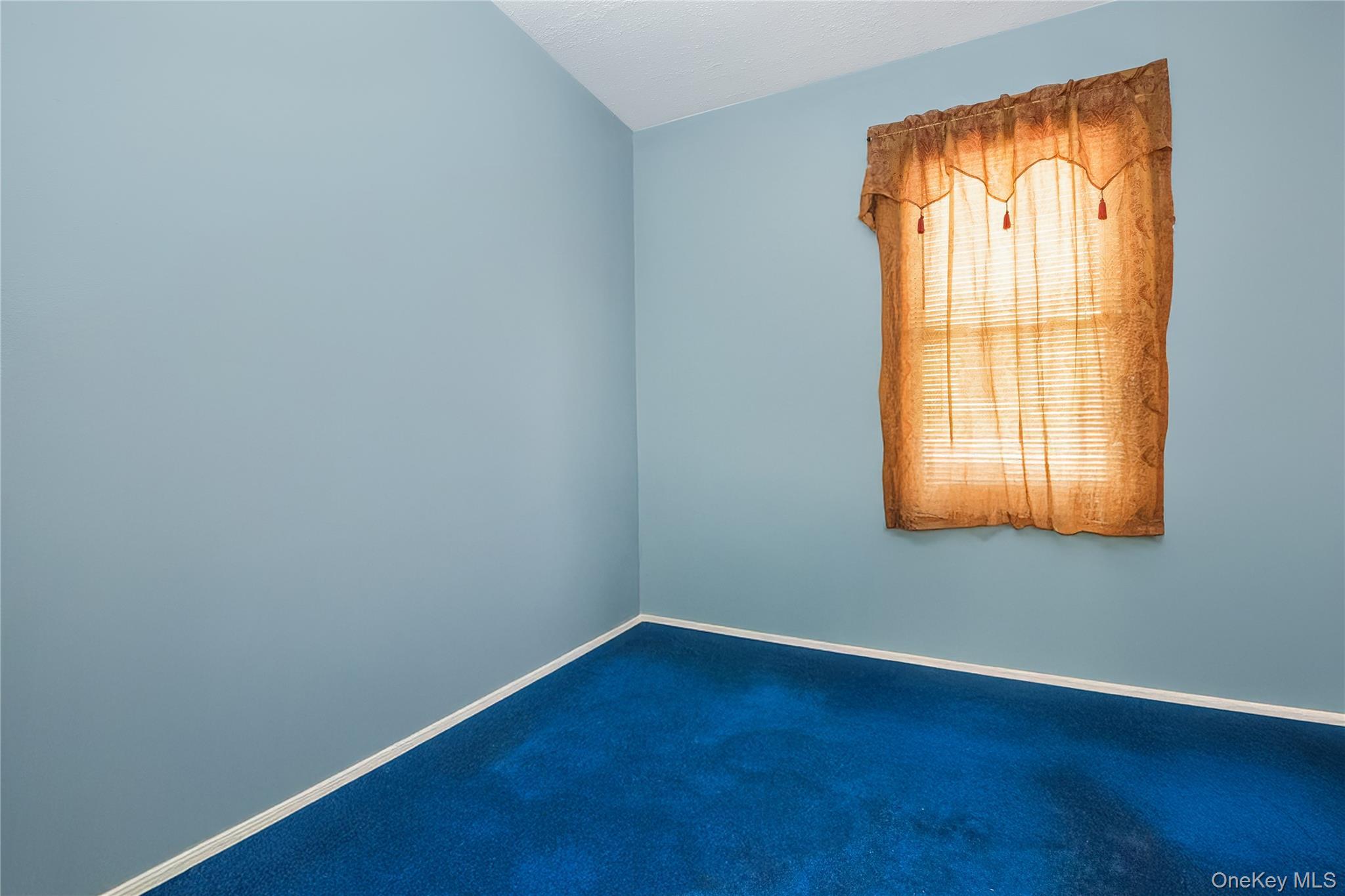 Single Family 88th Queens, NY 11421, MLS-998139-16