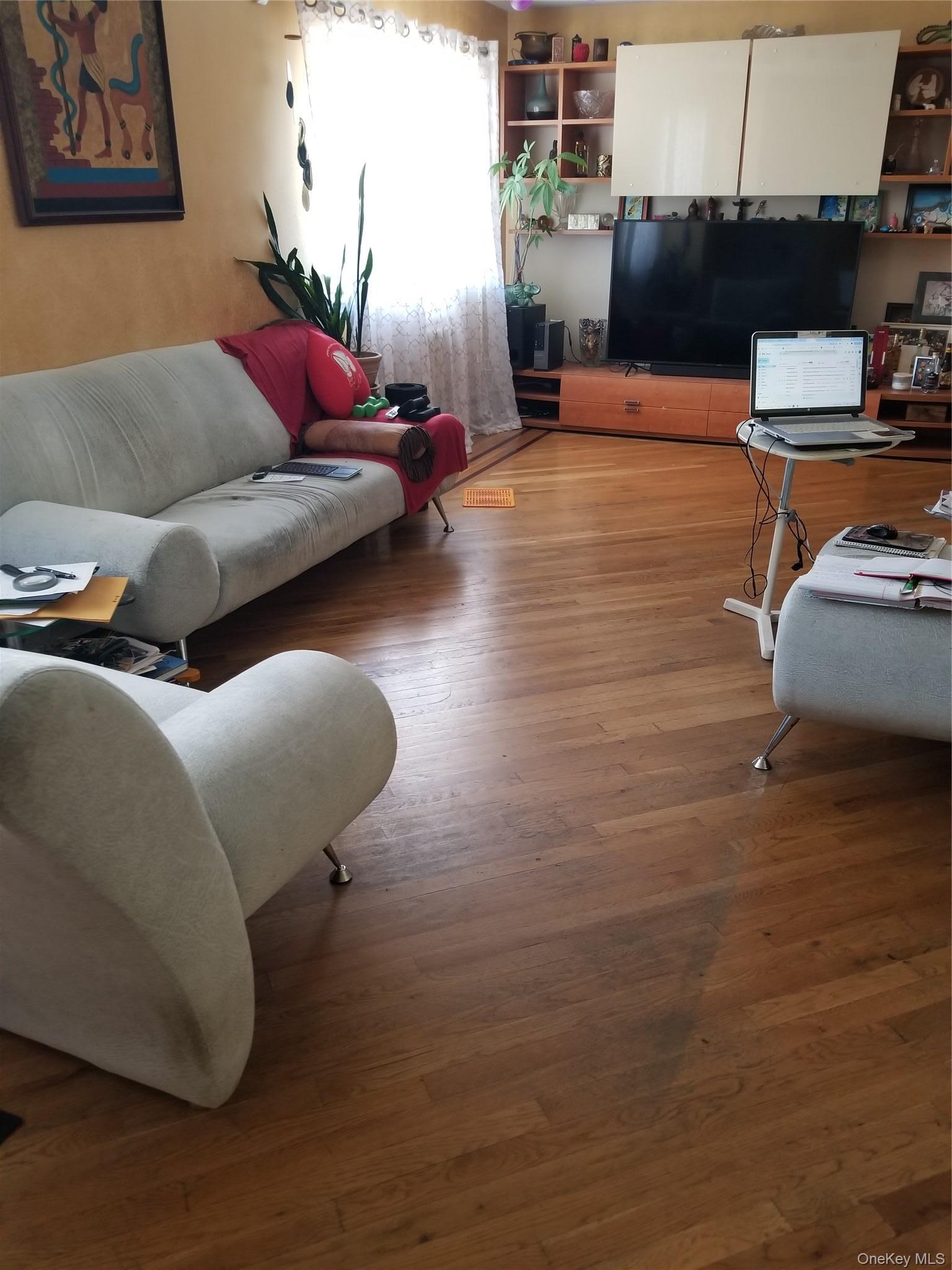 Condo Jerome Avenue Brooklyn, NY 11235, MLS-998215-3