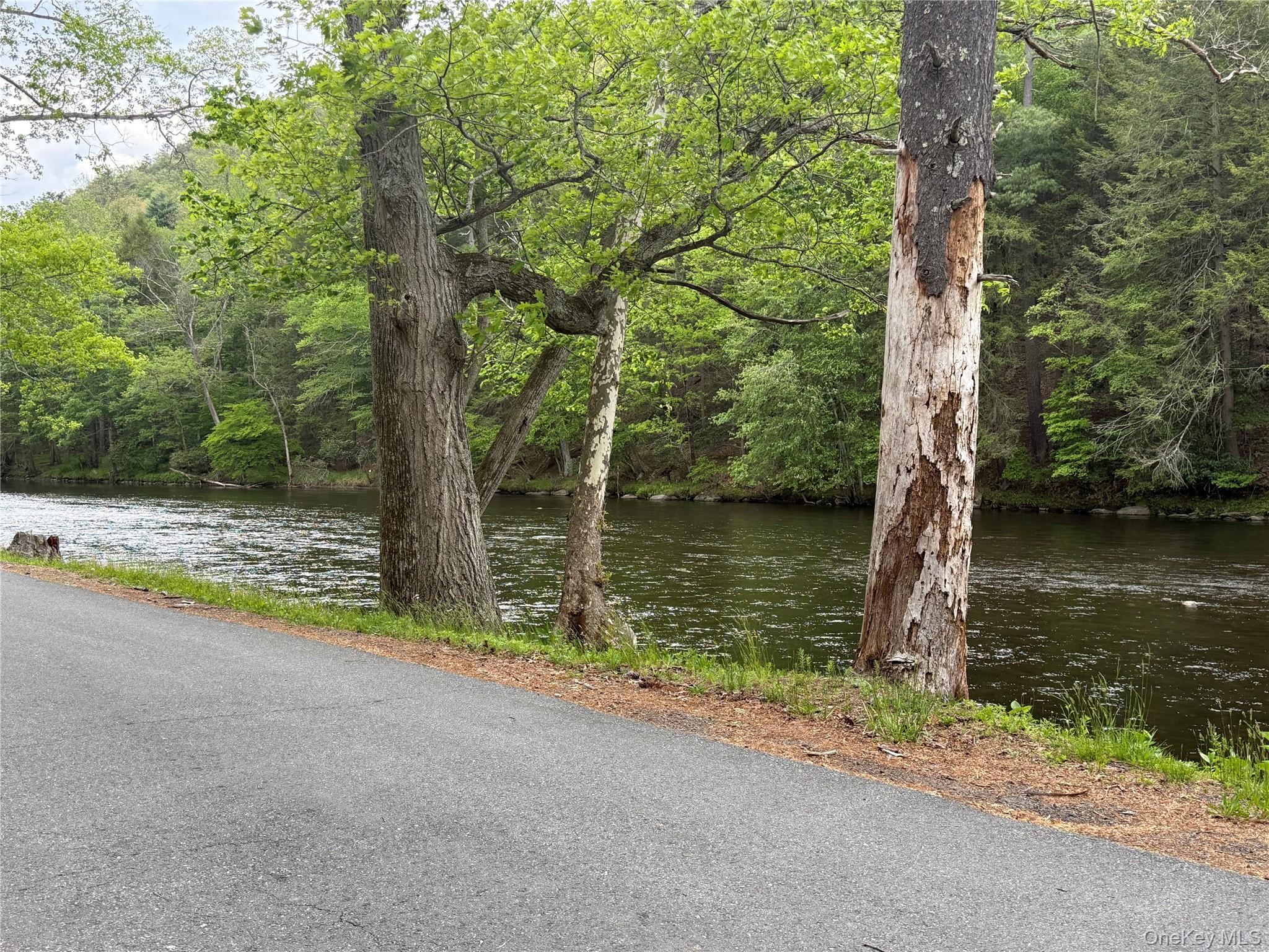 Single Family Avenue L  Orange County, NY 12729, MLS-998280-23