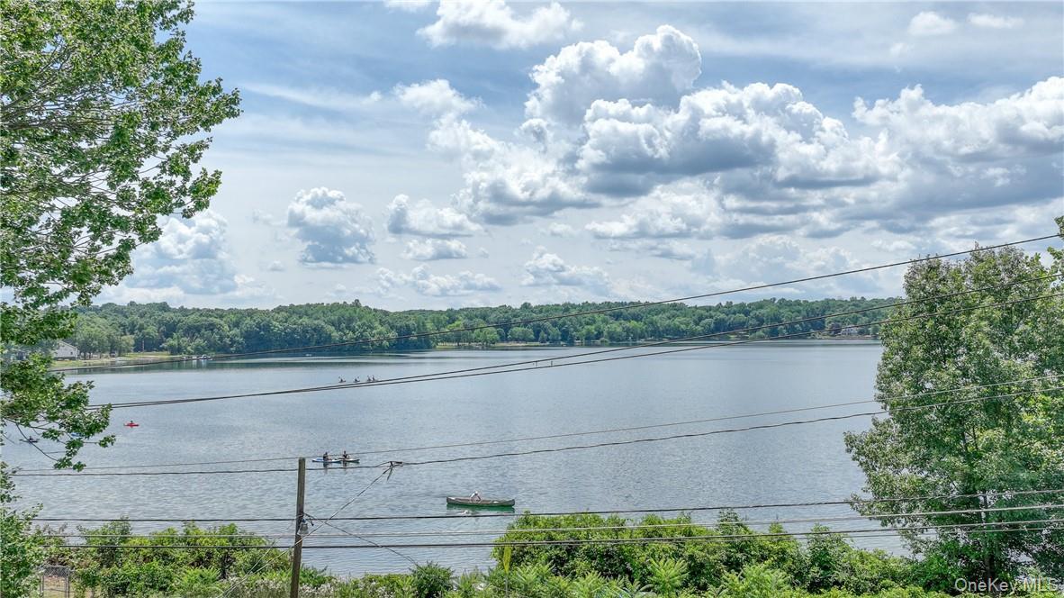 Coop Hibiscus Cir Dutchess County, NY 12533, MLS-998407-20