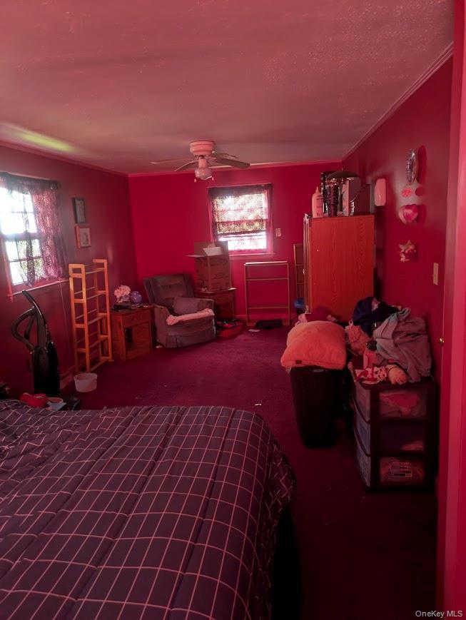 Single Family Commonwealth Orange County, NY 10940, MLS-998424-11