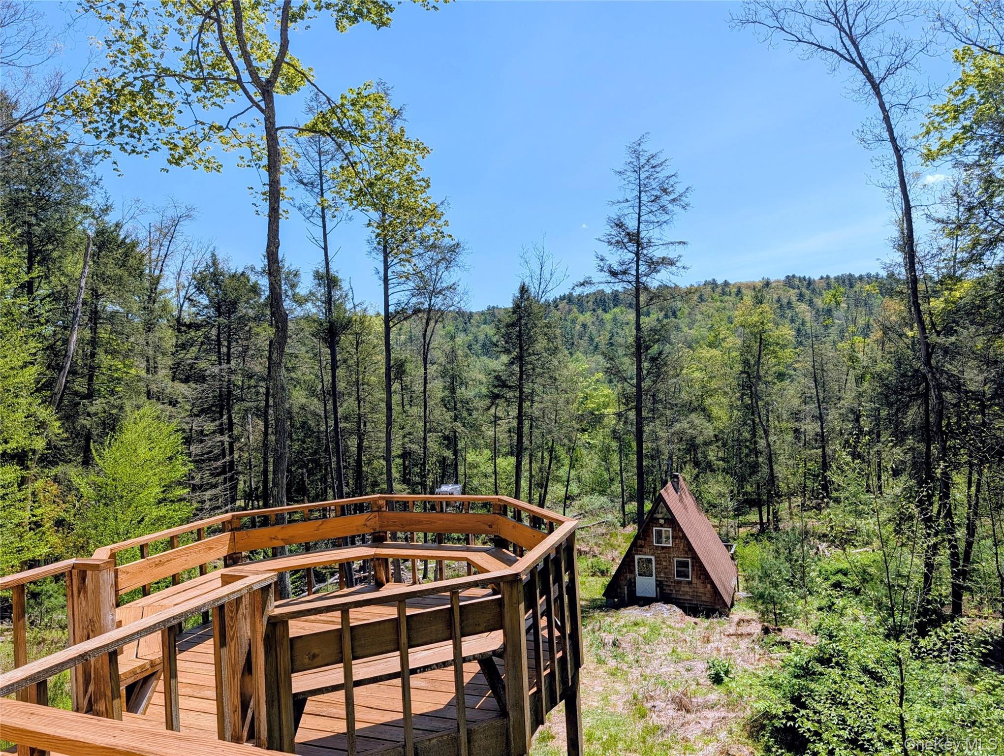 Single Family Lake Shore Lane Sullivan County, NY 12764, MLS-998448-2