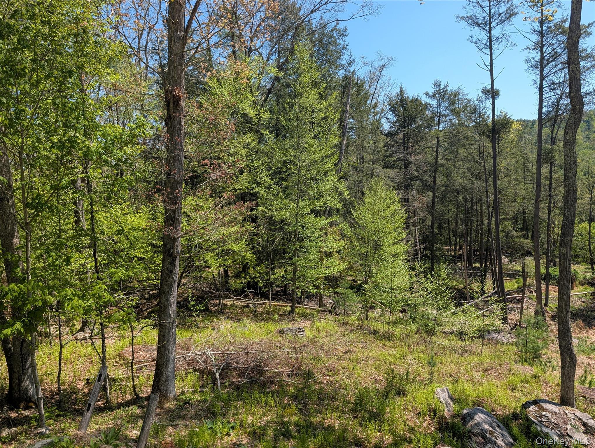 Single Family Lake Shore Lane Sullivan County, NY 12764, MLS-998448-22