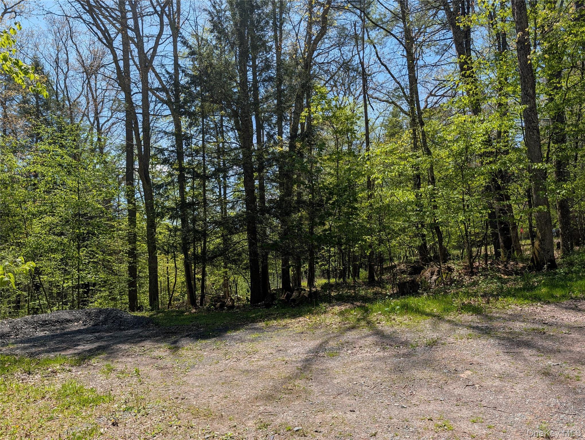 Single Family Lake Shore Lane Sullivan County, NY 12764, MLS-998448-23