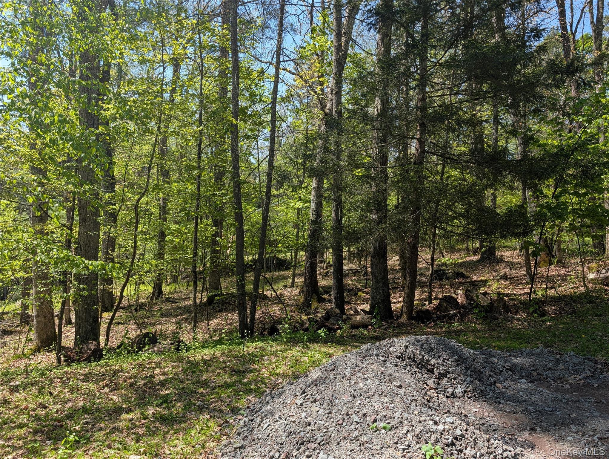 Single Family Lake Shore Lane Sullivan County, NY 12764, MLS-998448-24