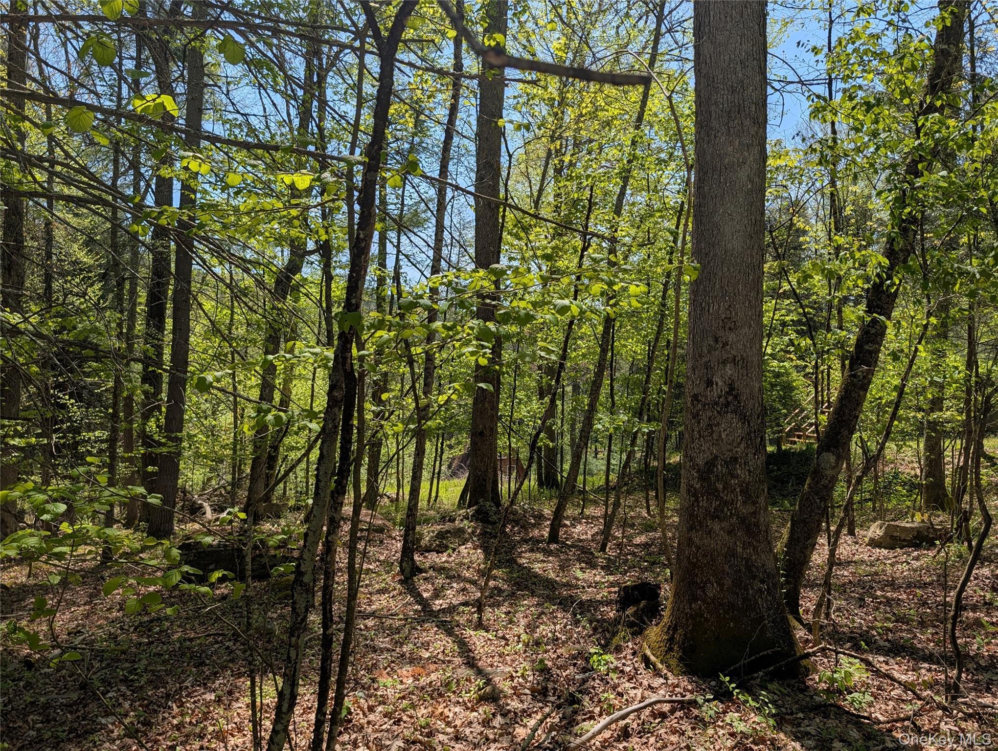 Single Family Lake Shore Lane Sullivan County, NY 12764, MLS-998448-26