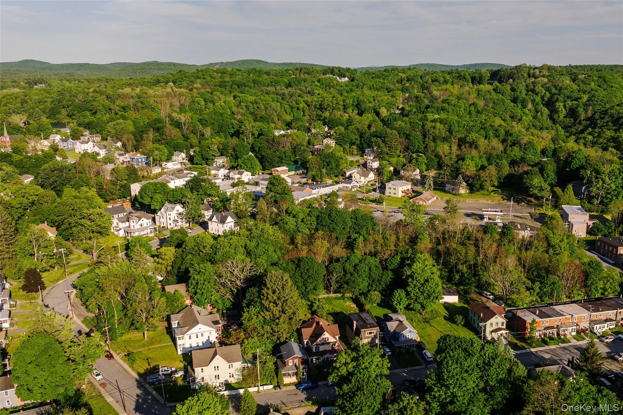 Single Family Canal Street  Columbia County, NY 12565, MLS-998452-2