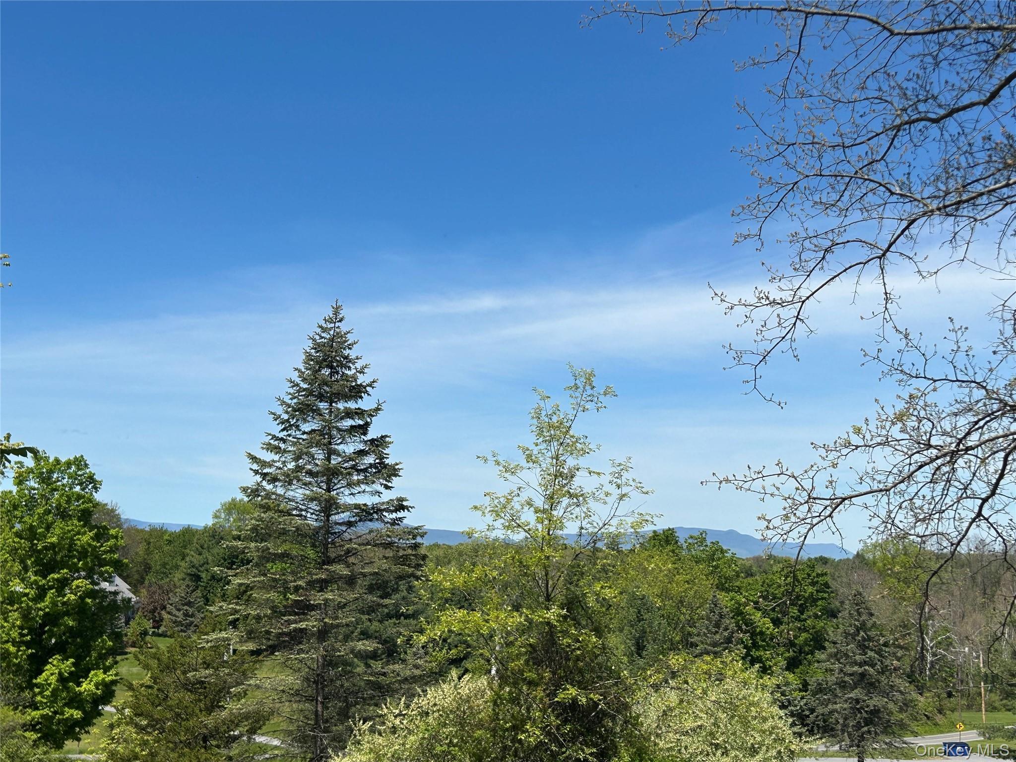Single Family County Route 19 Columbia County, NY 12571, MLS-998510-38