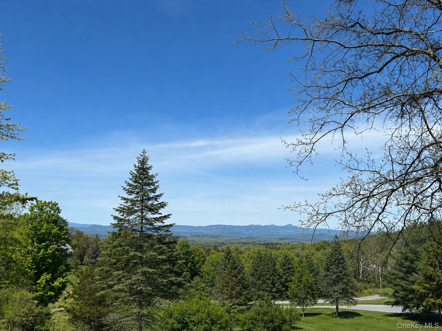 Single Family County Route 19  Columbia County, NY 12571, MLS-998510-39