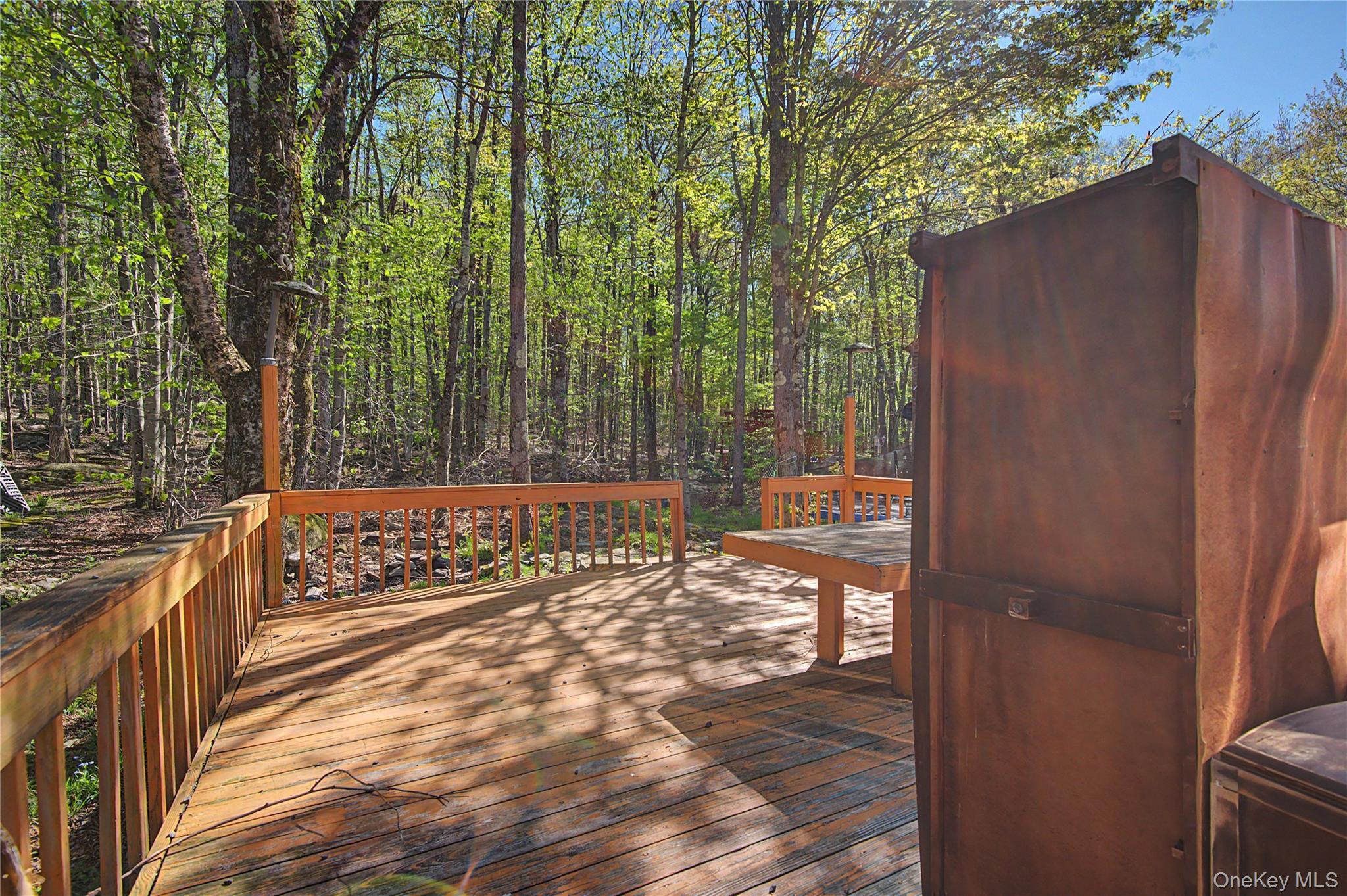Single Family Edelweiss  Sullivan County, NY 12789, MLS-998520-14