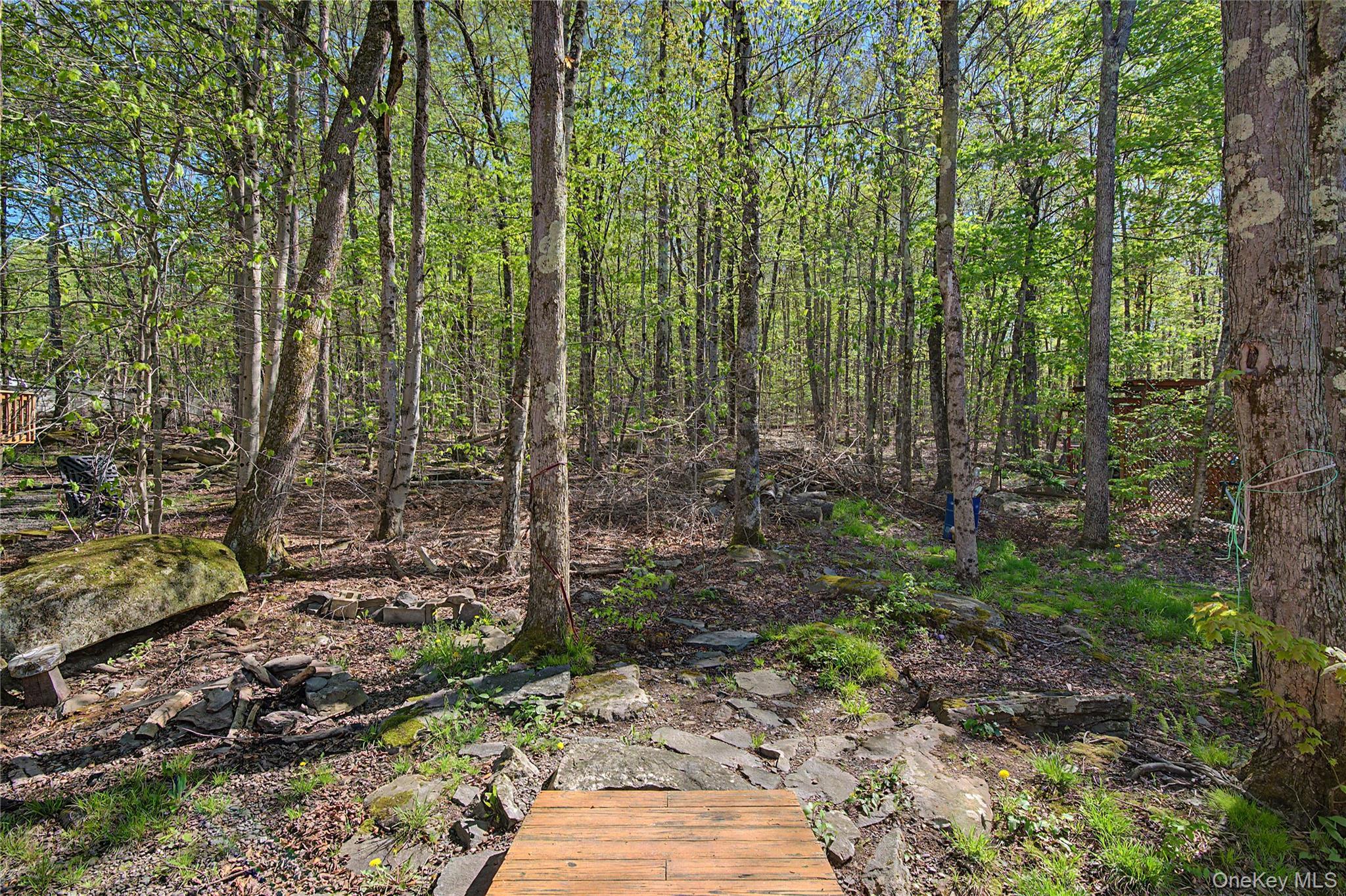 Single Family Edelweiss  Sullivan County, NY 12789, MLS-998520-16