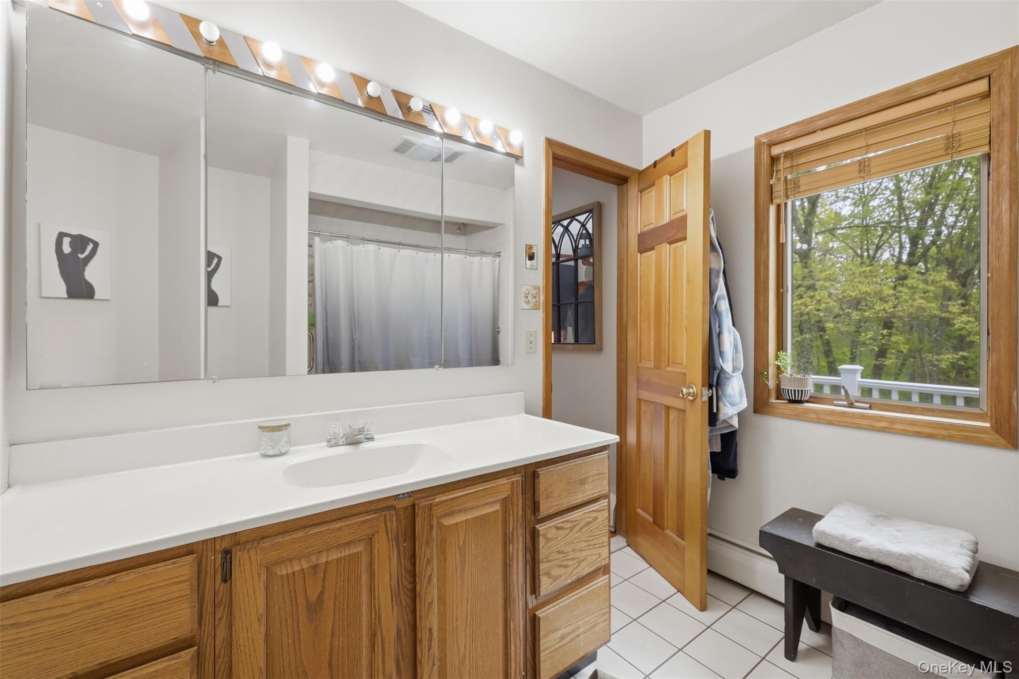 Single Family Sawmill Road  Dutchess County, NY 12571, MLS-998584-21