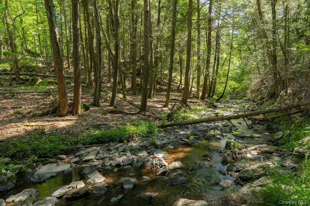 Single Family Sawmill Road  Dutchess County, NY 12571, MLS-998584-37