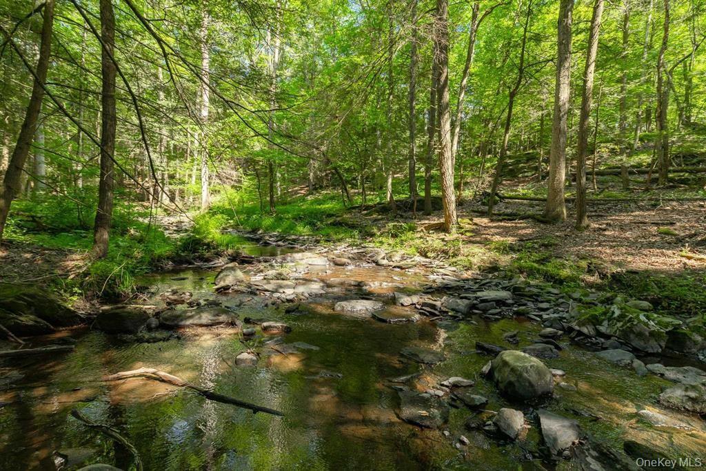 Single Family Sawmill Road  Dutchess County, NY 12571, MLS-998584-38