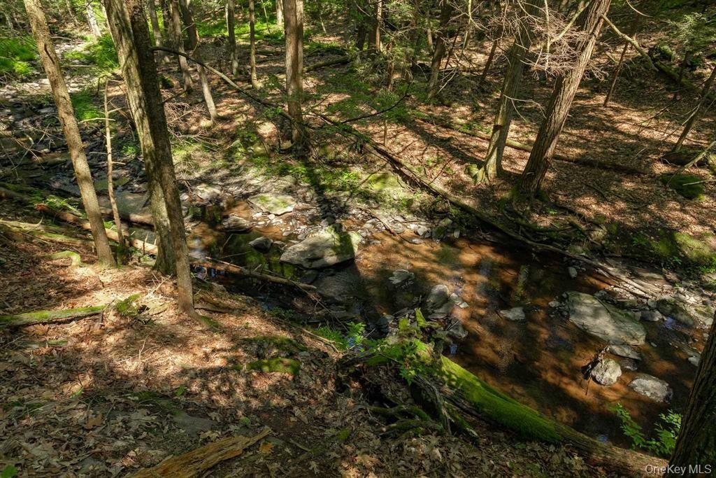 Single Family Sawmill Road  Dutchess County, NY 12571, MLS-998584-39