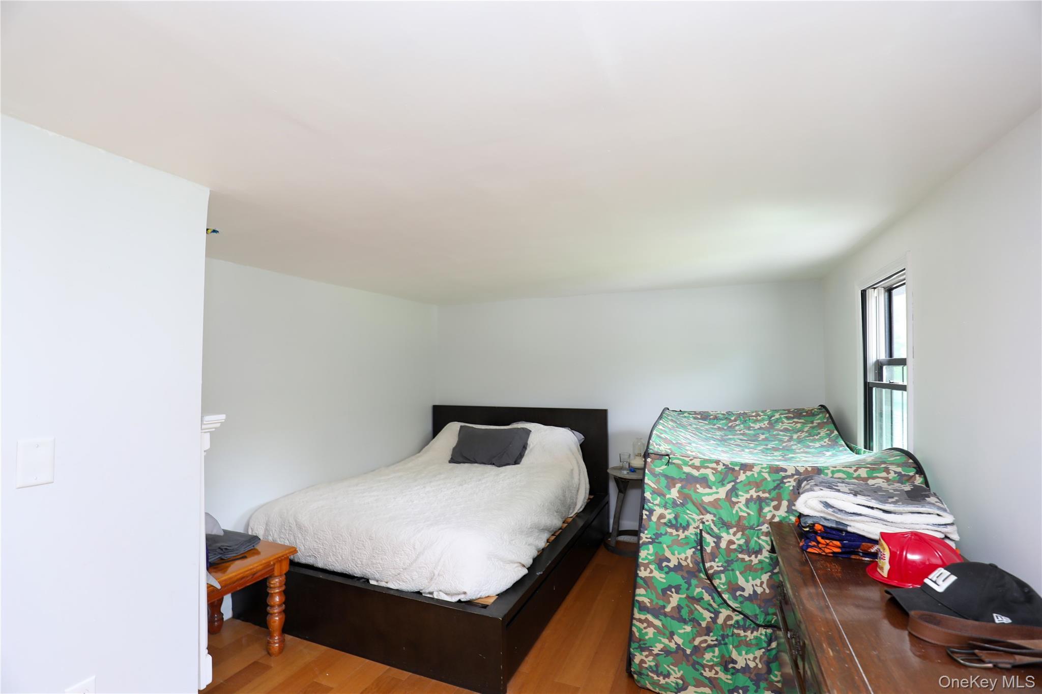 Single Family Phillips Avenue  Ulster County, NY 12528, MLS-998627-21