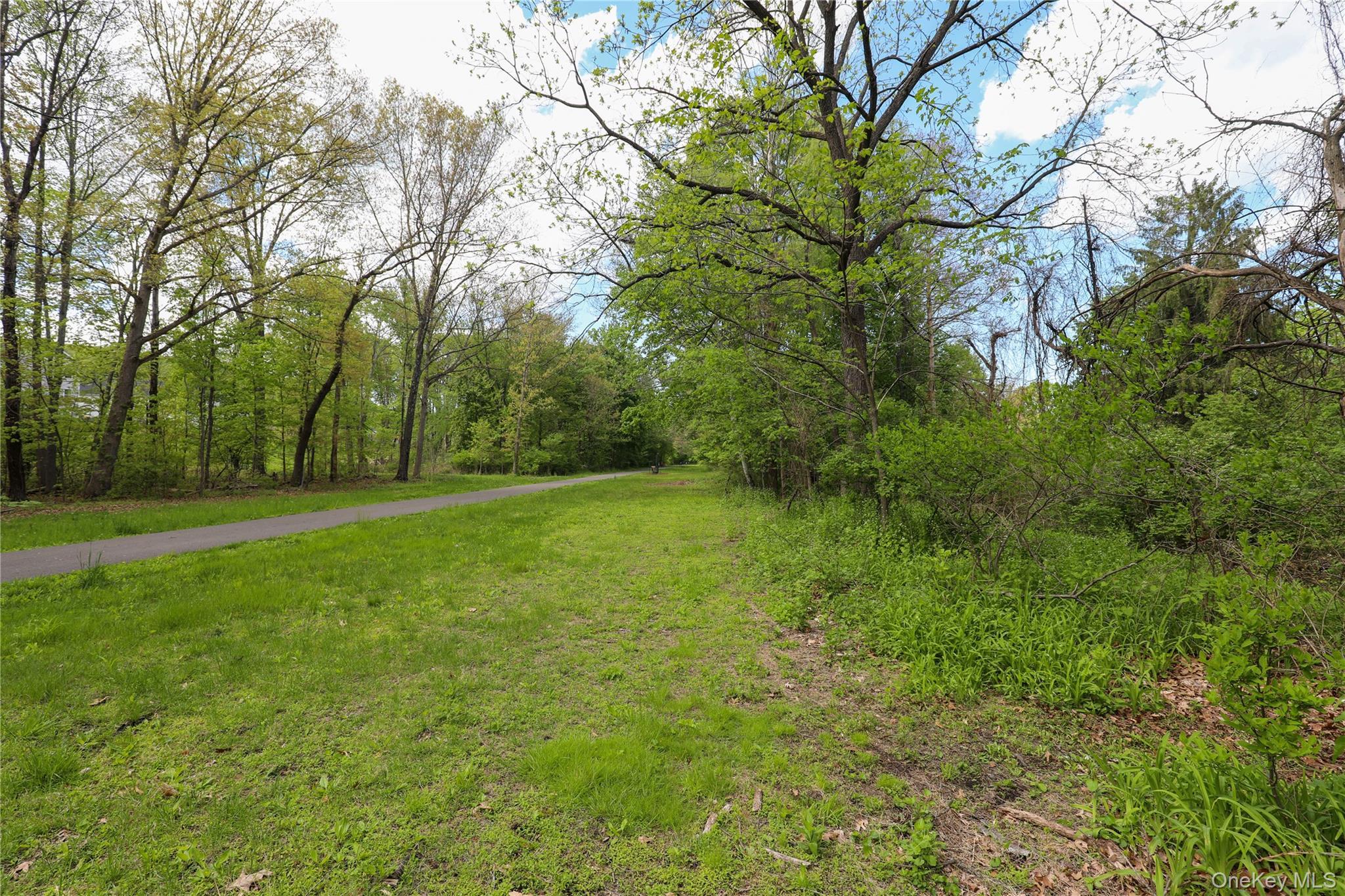 Single Family Phillips Avenue  Ulster County, NY 12528, MLS-998627-28