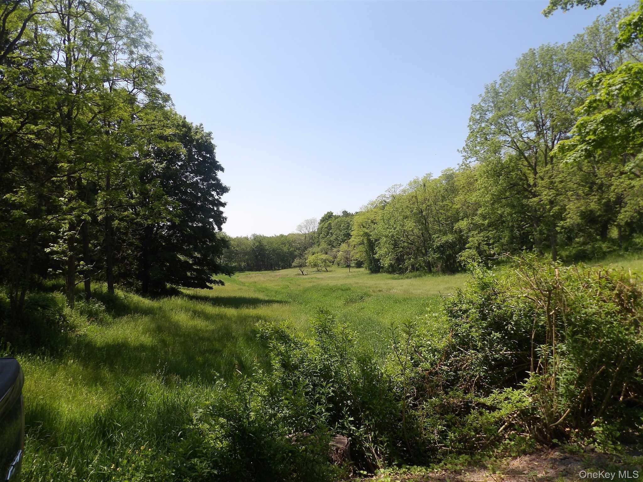Single Family Hicks Hill Road Dutchess County, NY 12582, MLS-998694-2