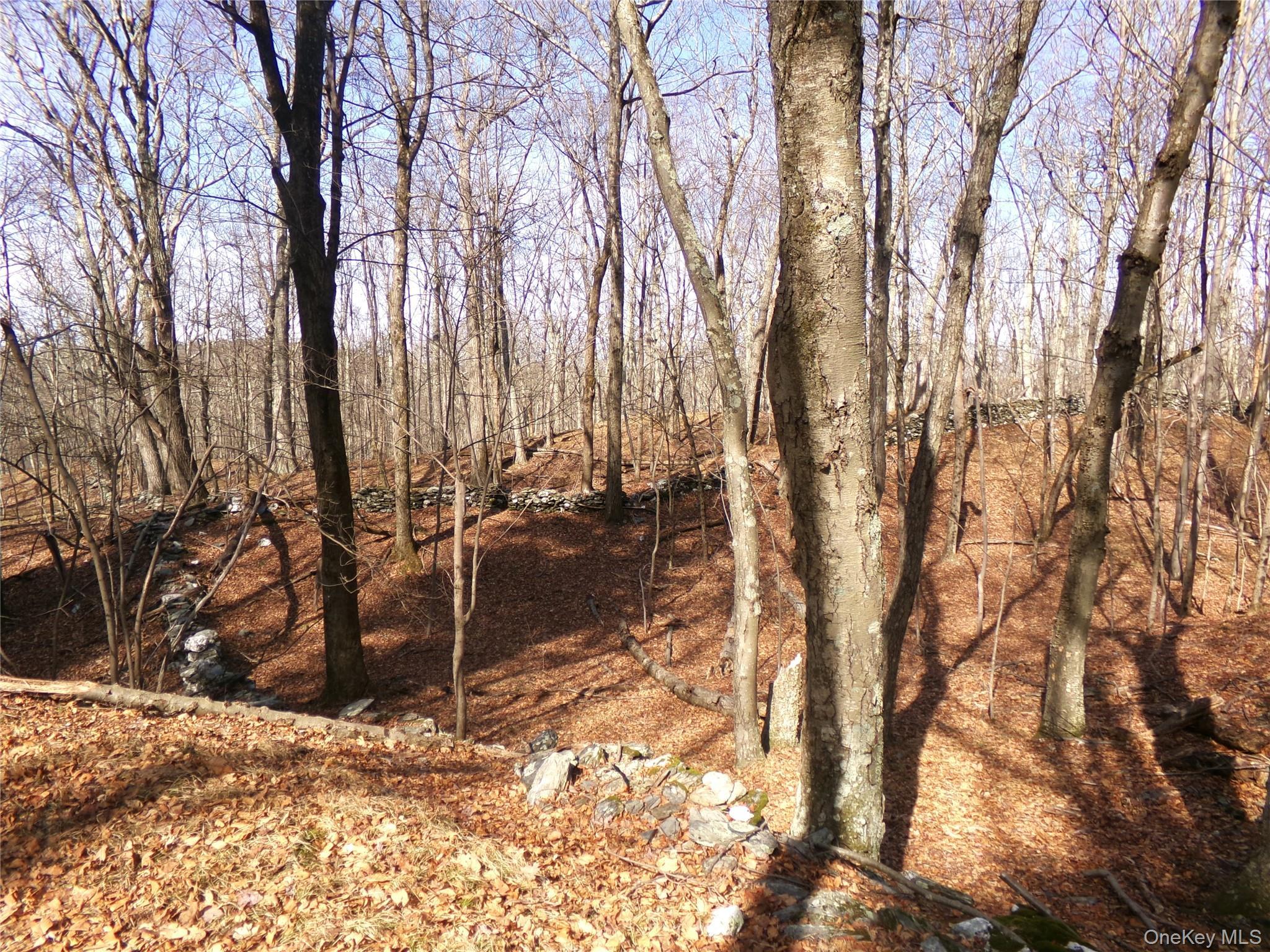 Single Family Hicks Hill Road Dutchess County, NY 12582, MLS-998694-36