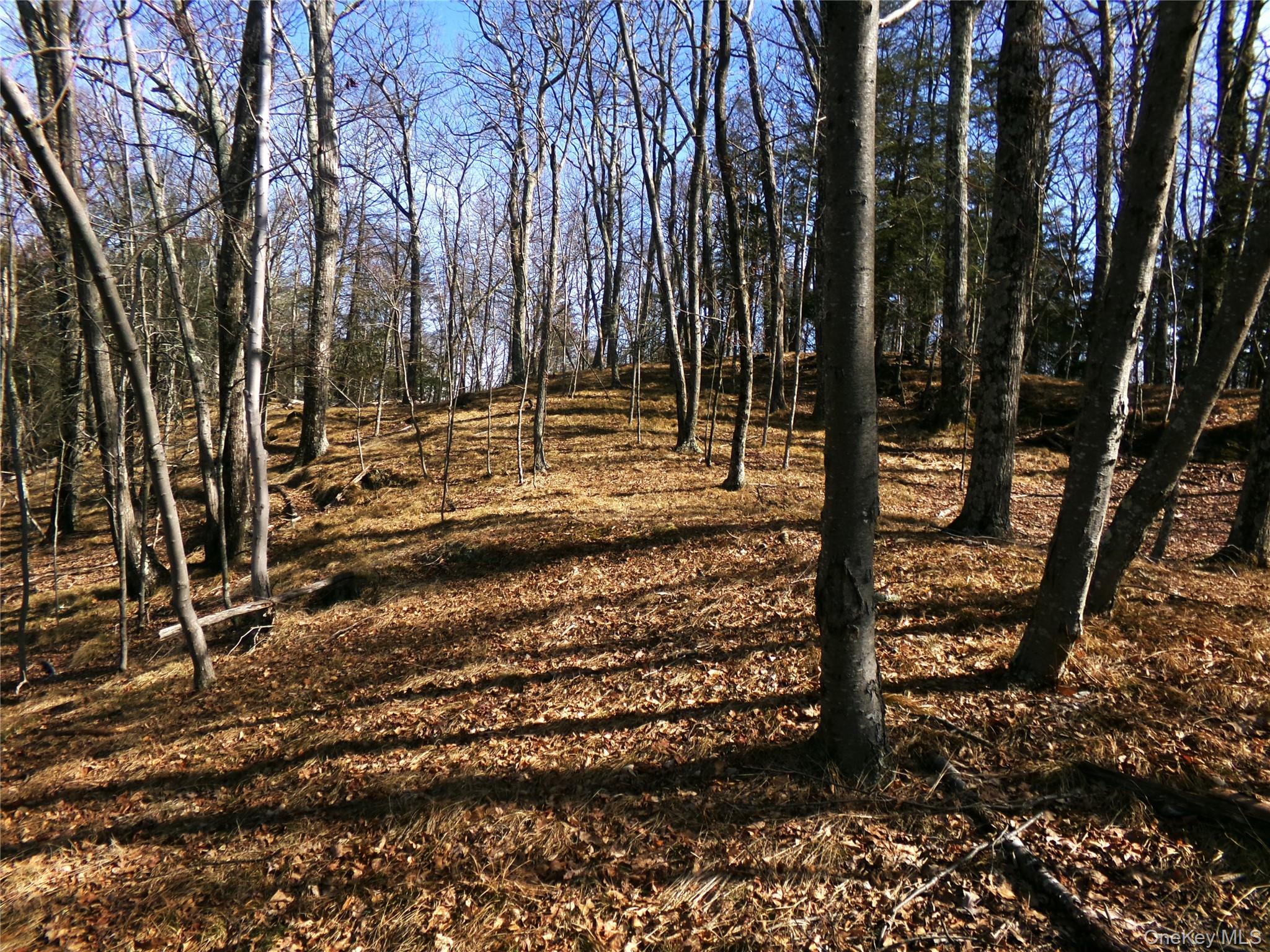 Single Family Hicks Hill Road Dutchess County, NY 12582, MLS-998694-37