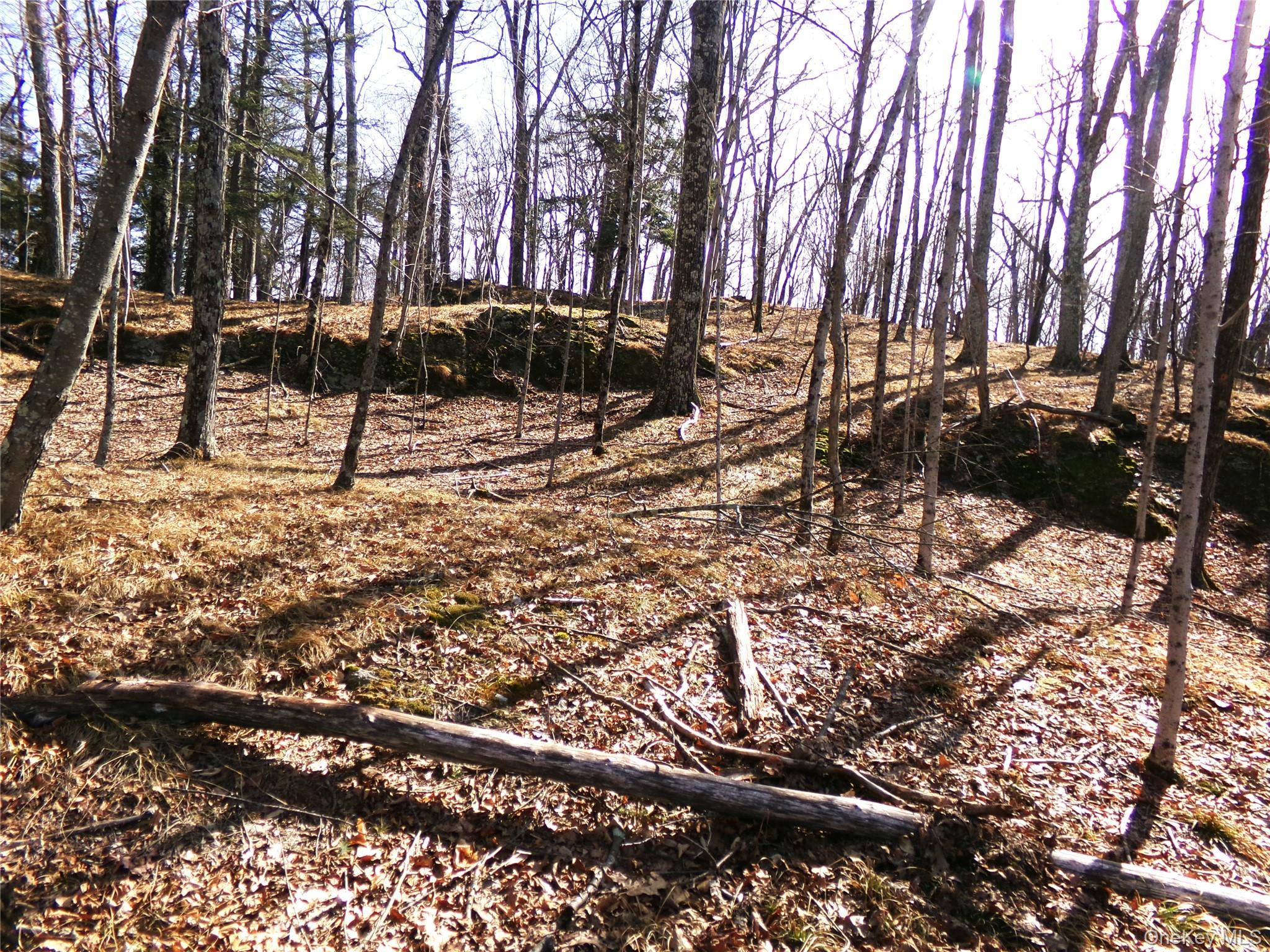 Single Family Hicks Hill Road Dutchess County, NY 12582, MLS-998694-38