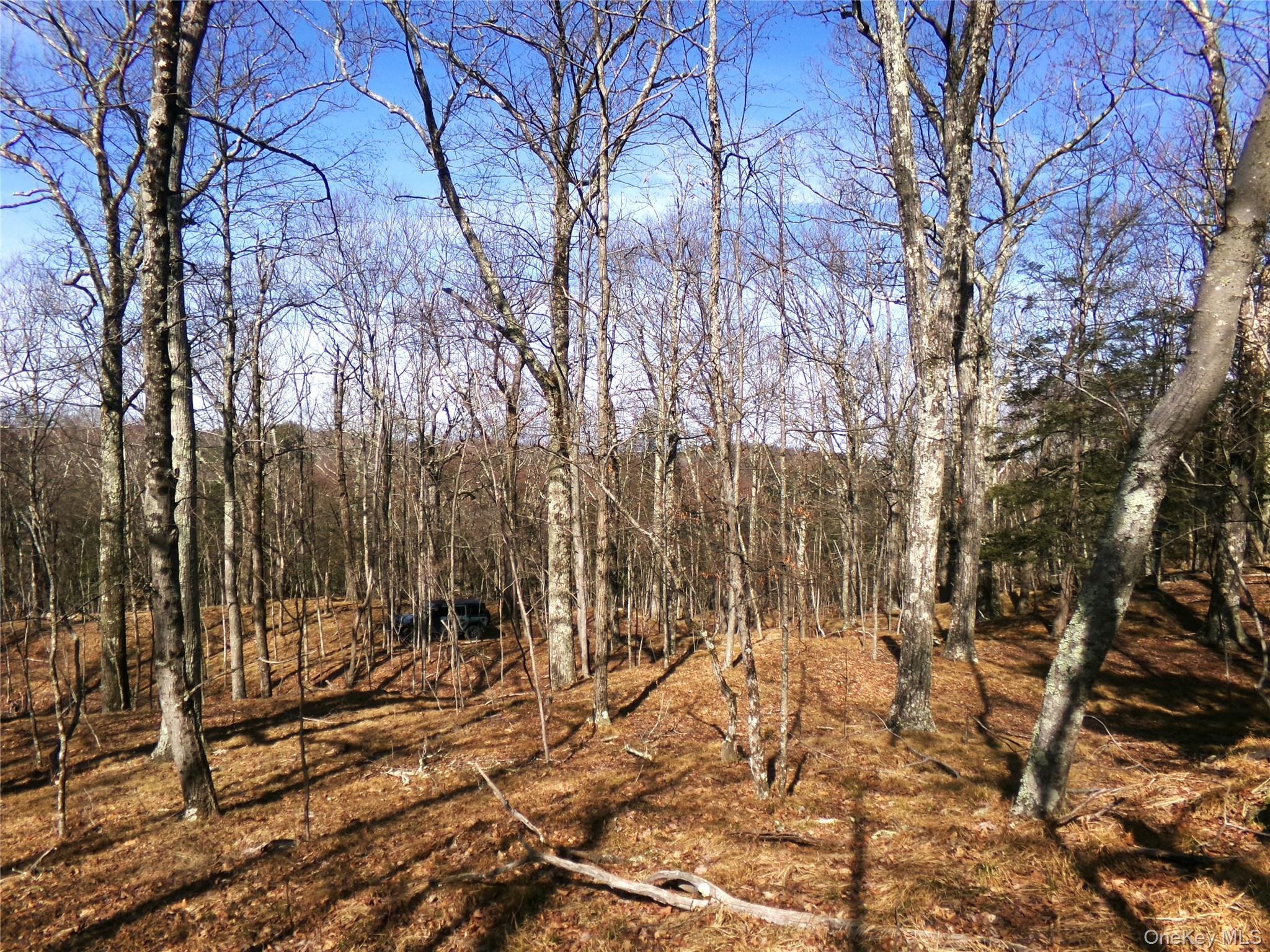 Single Family Hicks Hill Road Dutchess County, NY 12582, MLS-998694-39