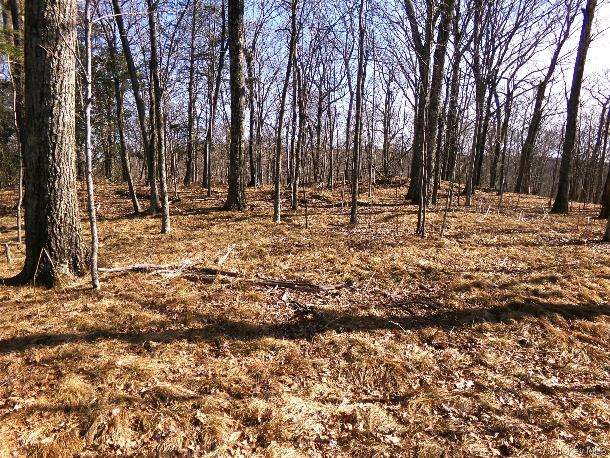 Single Family Hicks Hill Road Dutchess County, NY 12582, MLS-998694-40