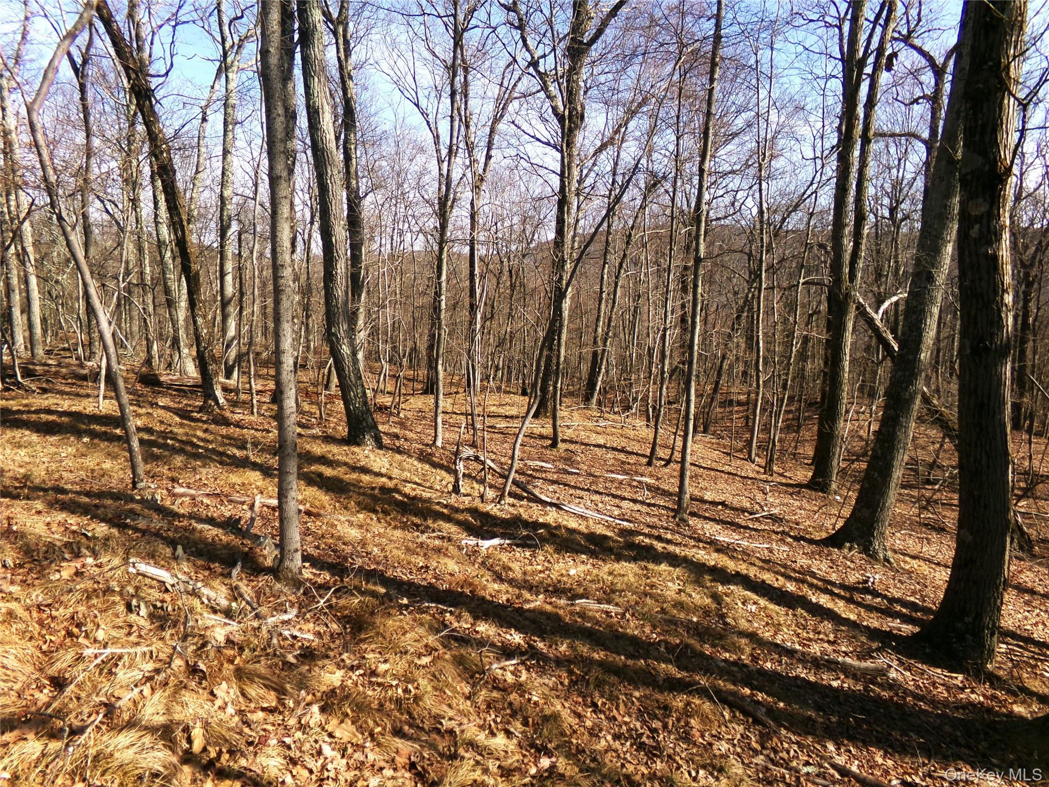 Single Family Hicks Hill Road Dutchess County, NY 12582, MLS-998694-41